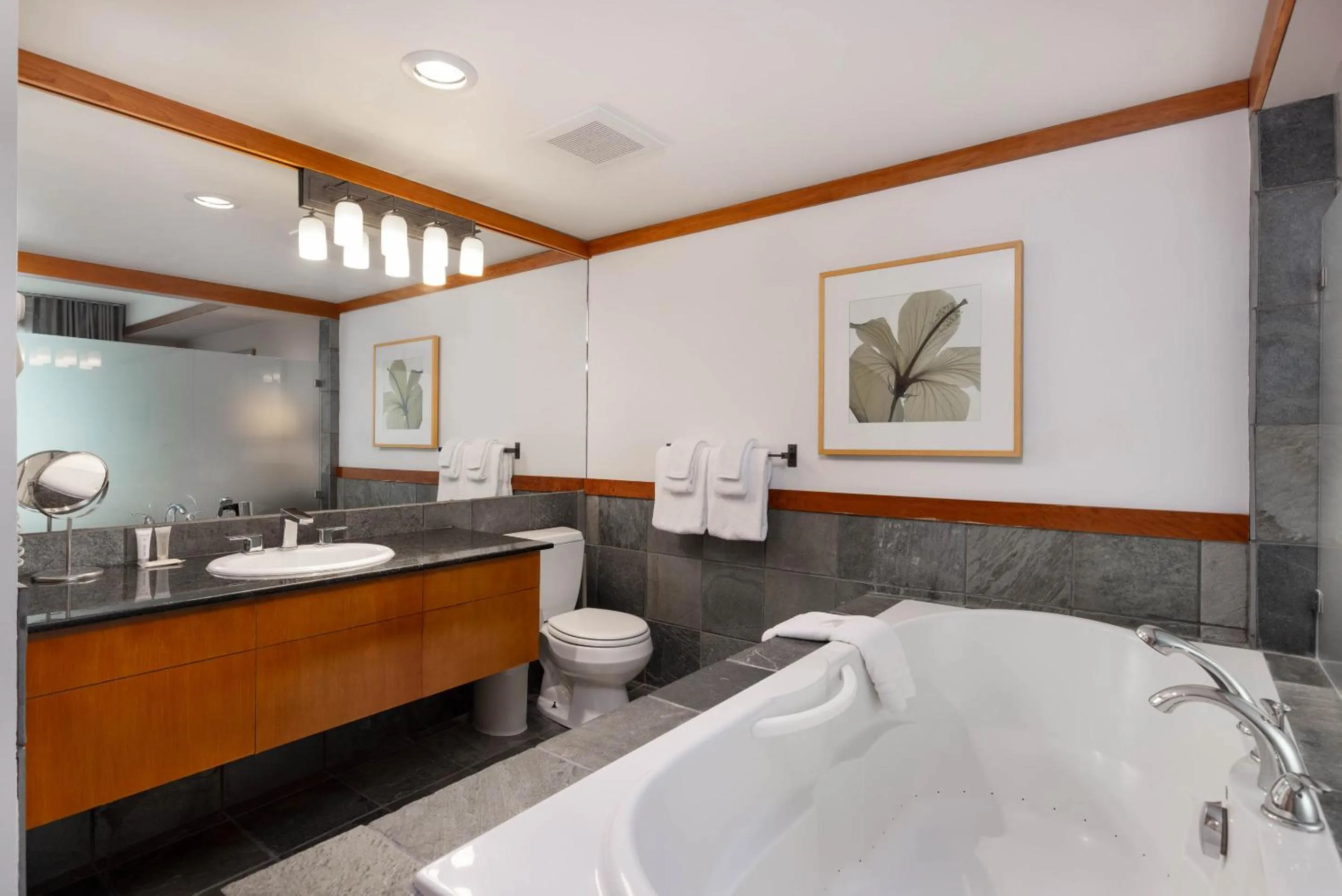 Le Chamois by Whistler Premier