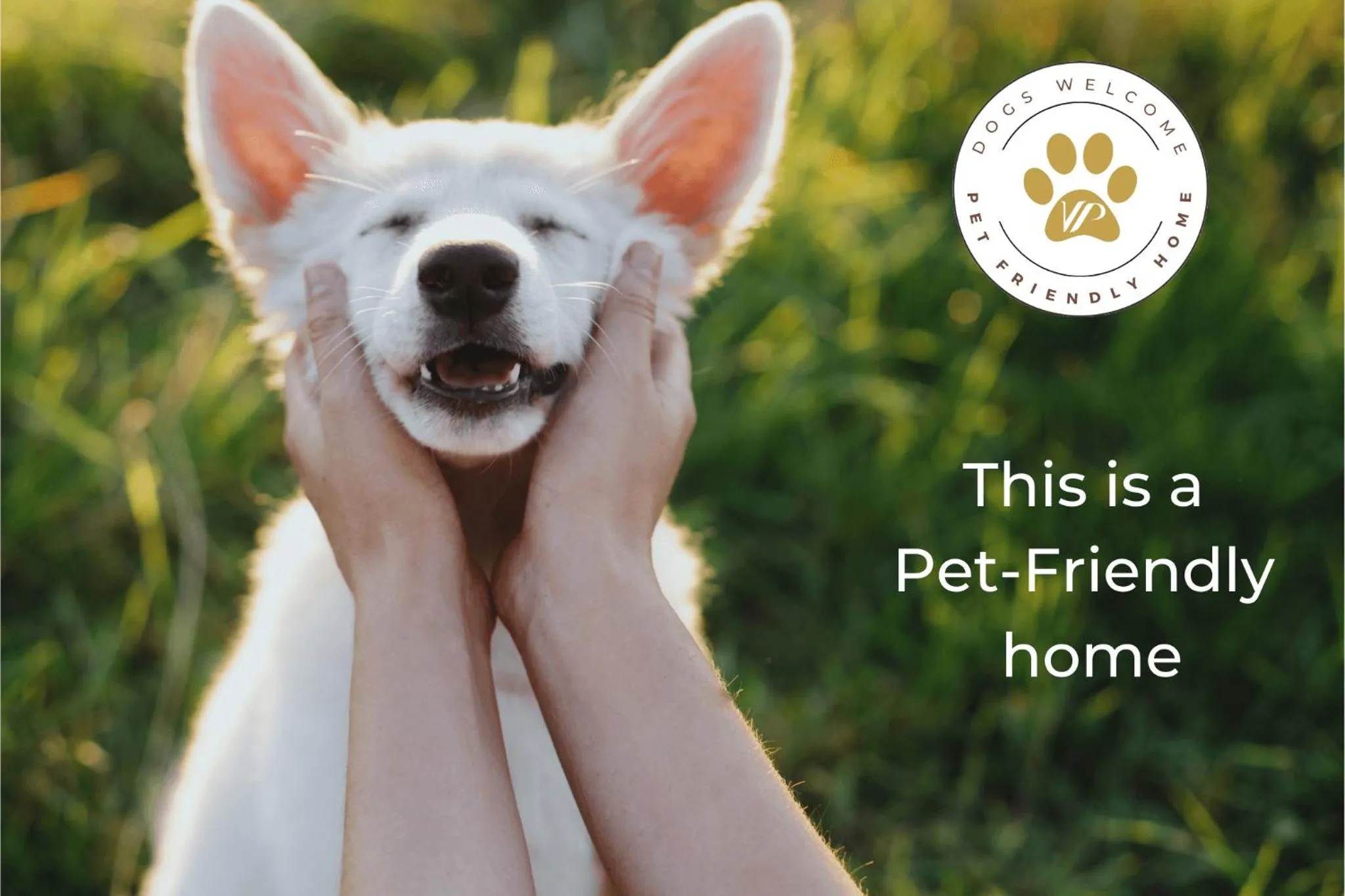 Paper Birch - Unit 10