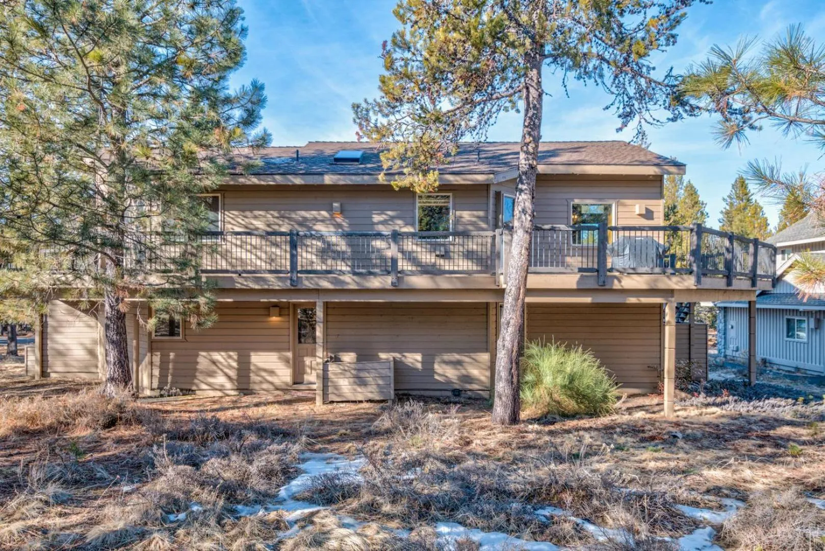 Paper Birch - Unit 10