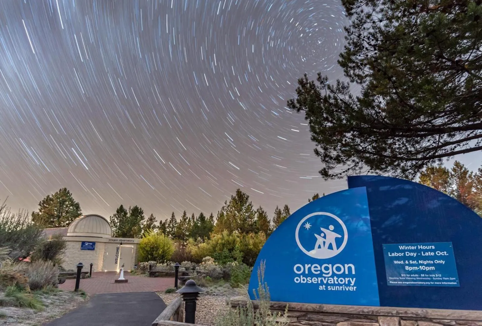 Paper Birch - Unit 10