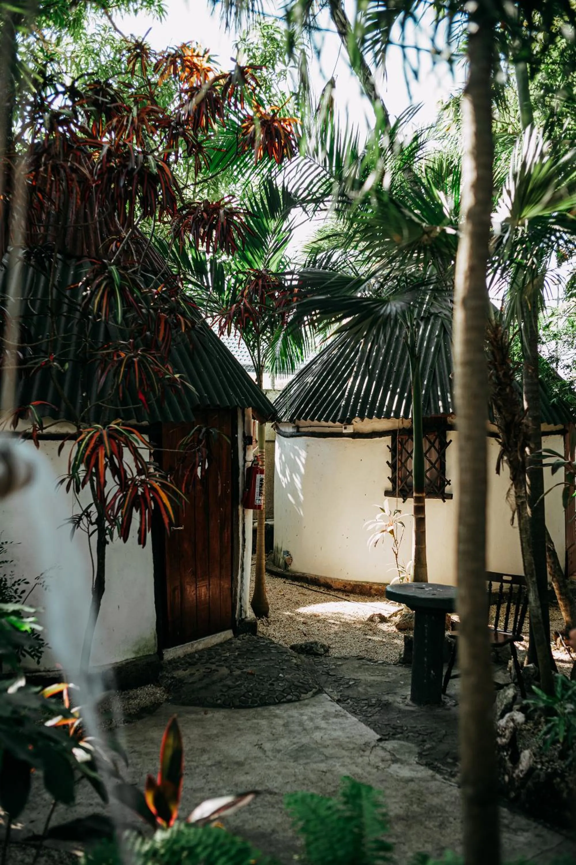 Property building in Hostel Oryx Tulum