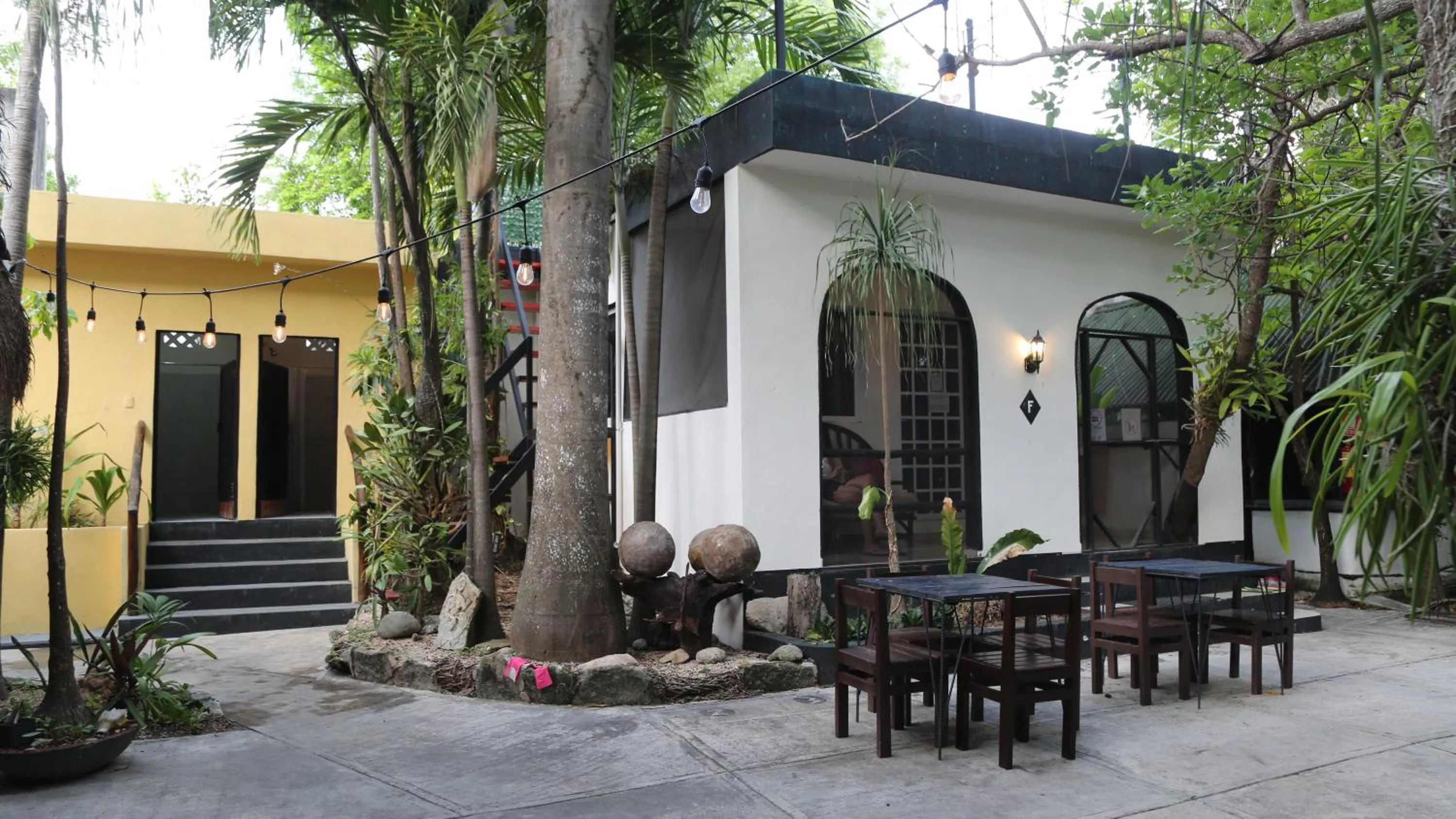 Garden view in Hostel Oryx Tulum