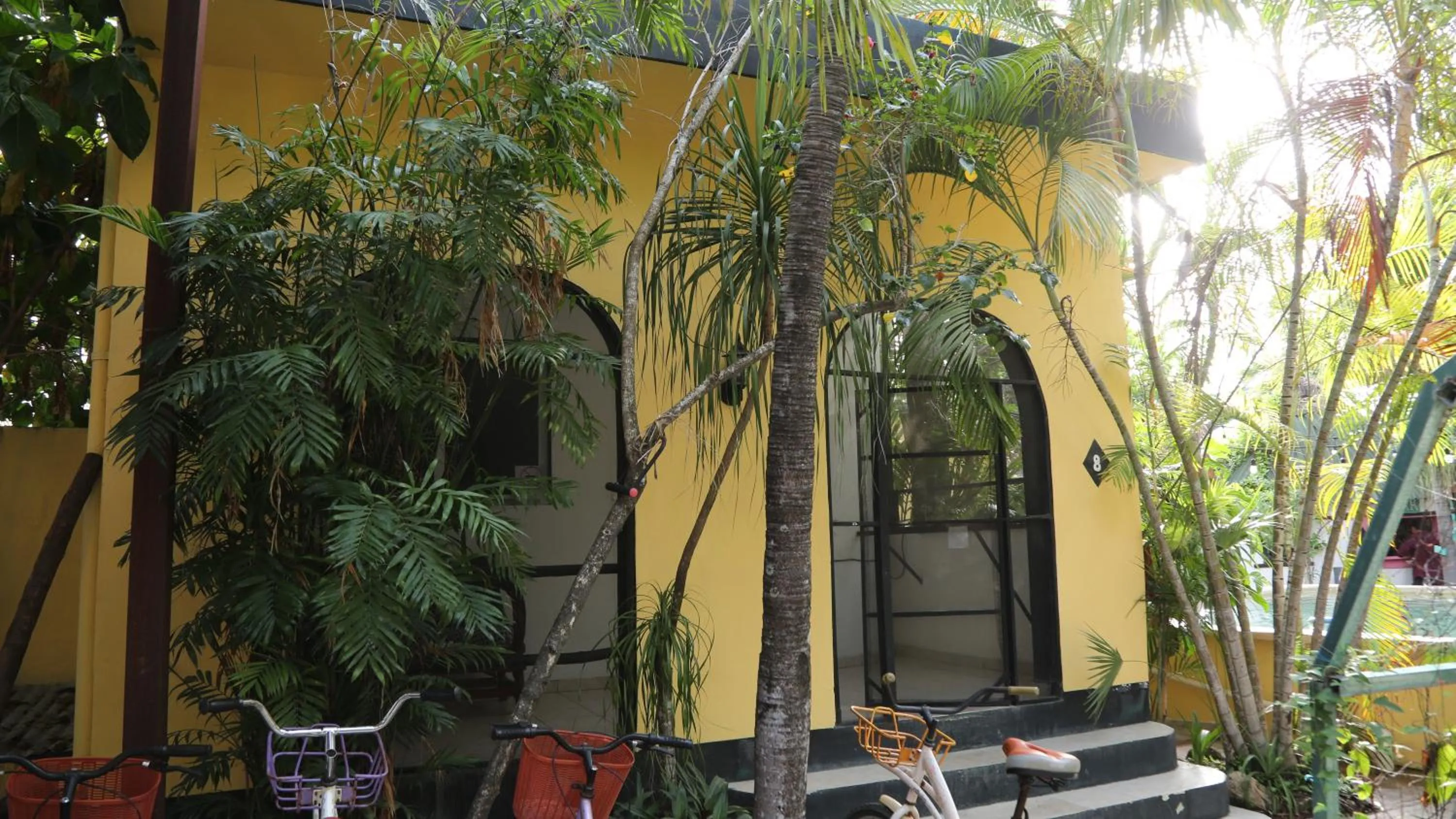 Off site in Hostel Oryx Tulum