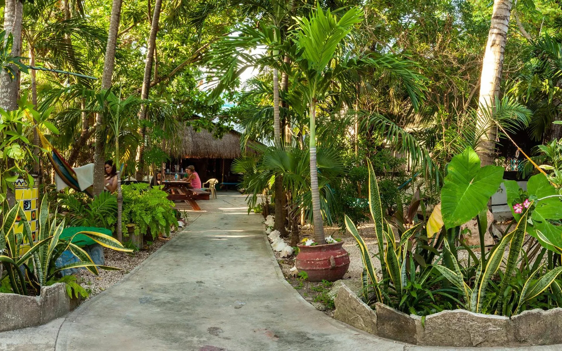 Garden in Hostel Oryx Tulum