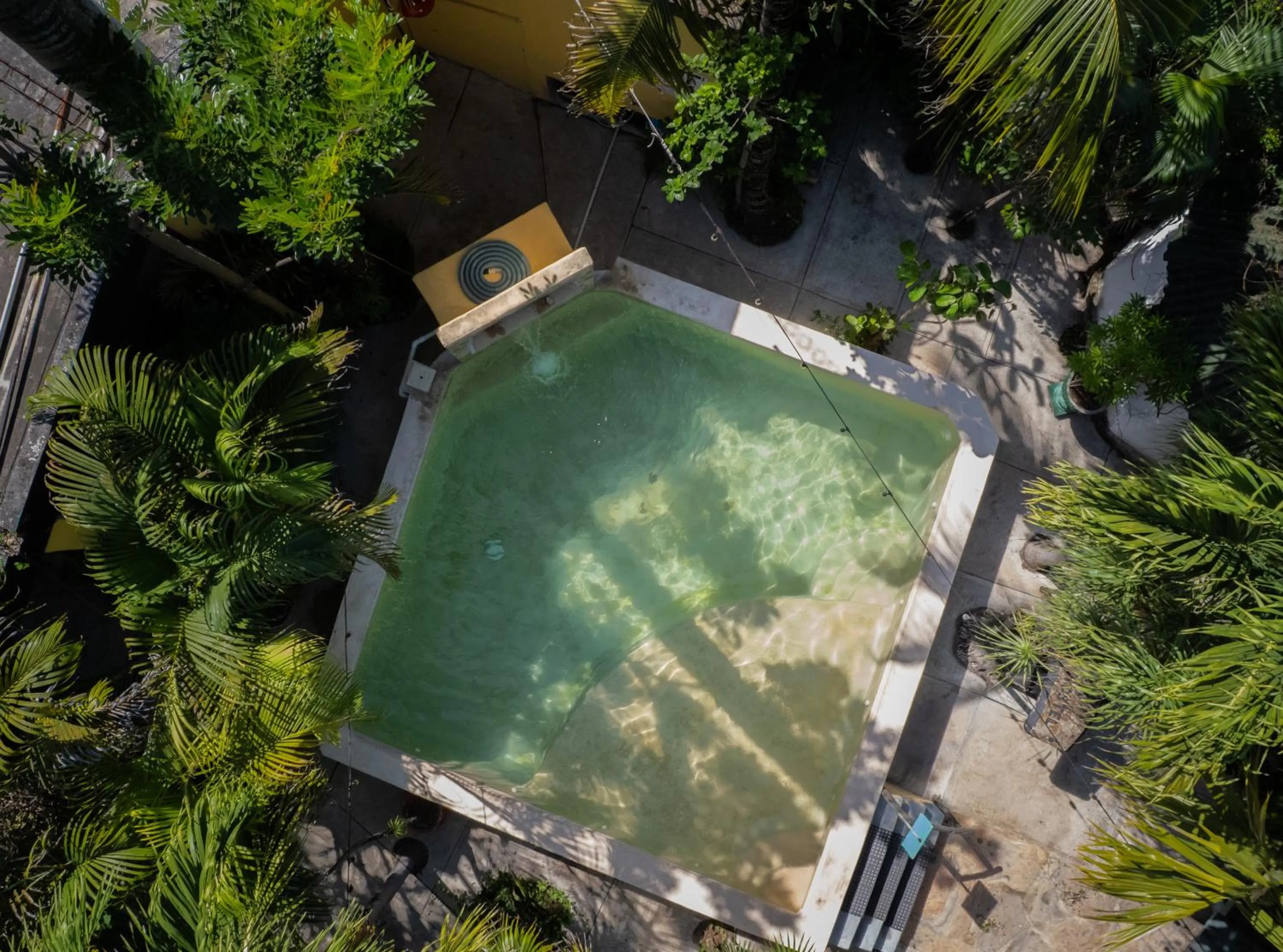 Pool view in Hostel Oryx Tulum
