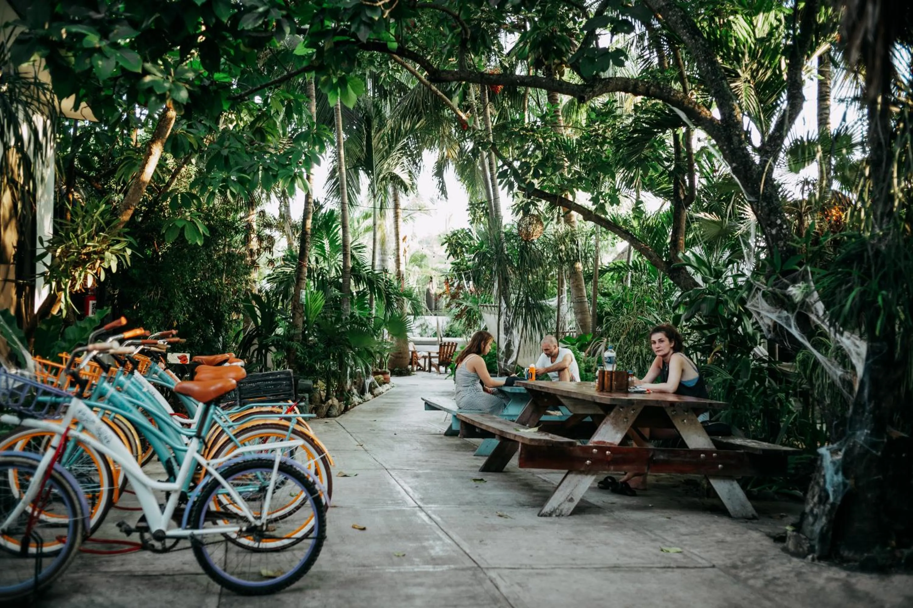 Garden view in Hostel Oryx Tulum