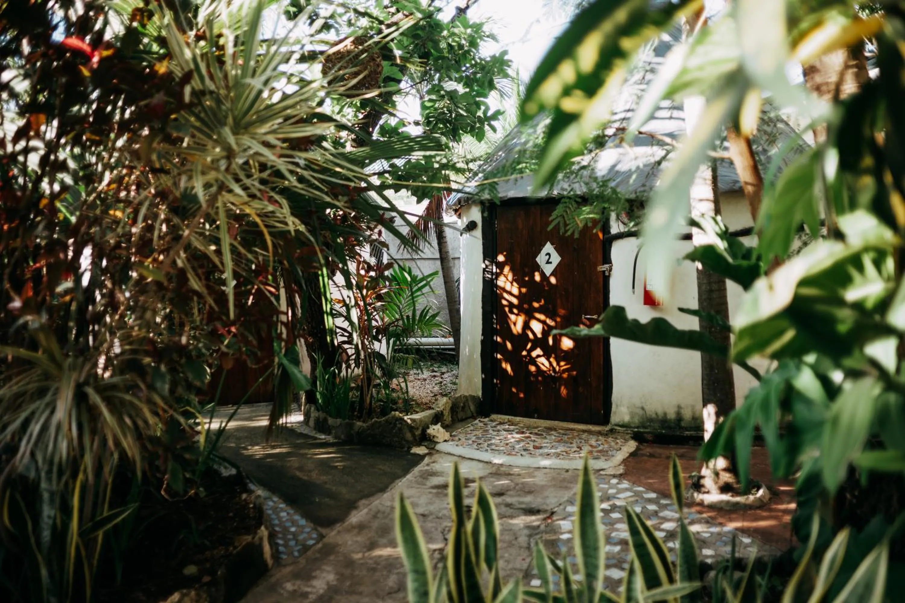 View (from property/room) in Hostel Oryx Tulum