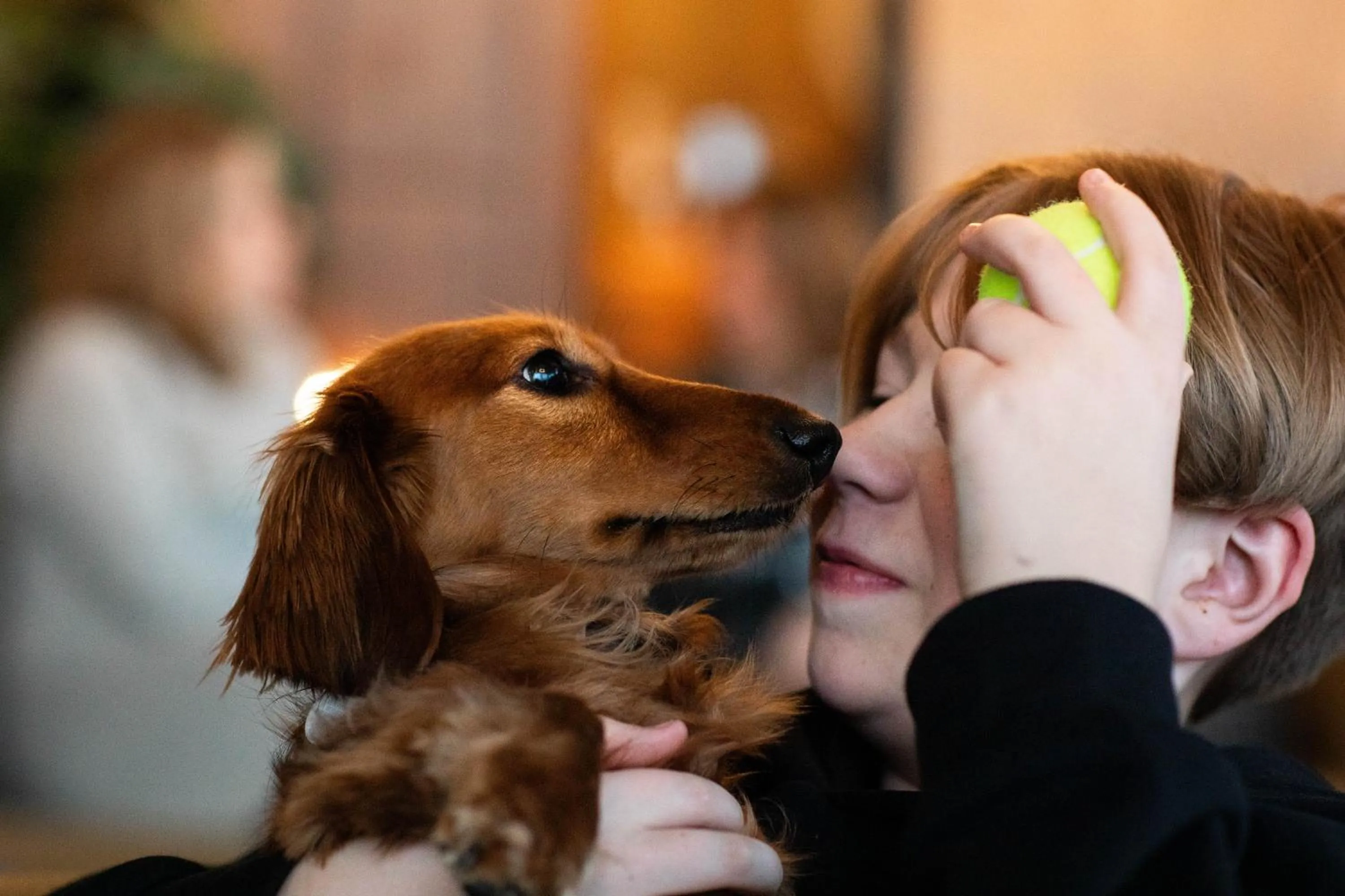 Pets in Oswego Hotel