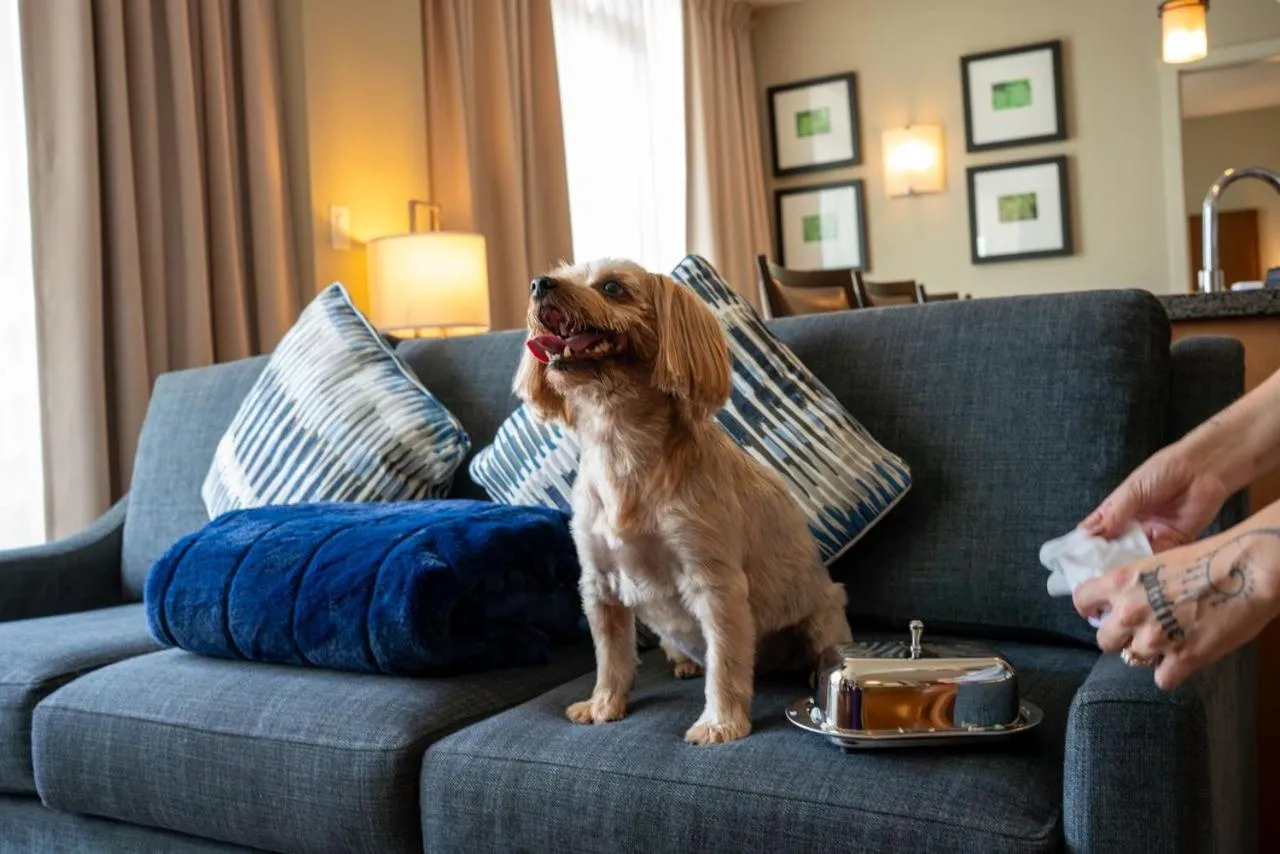 Pets in Oswego Hotel