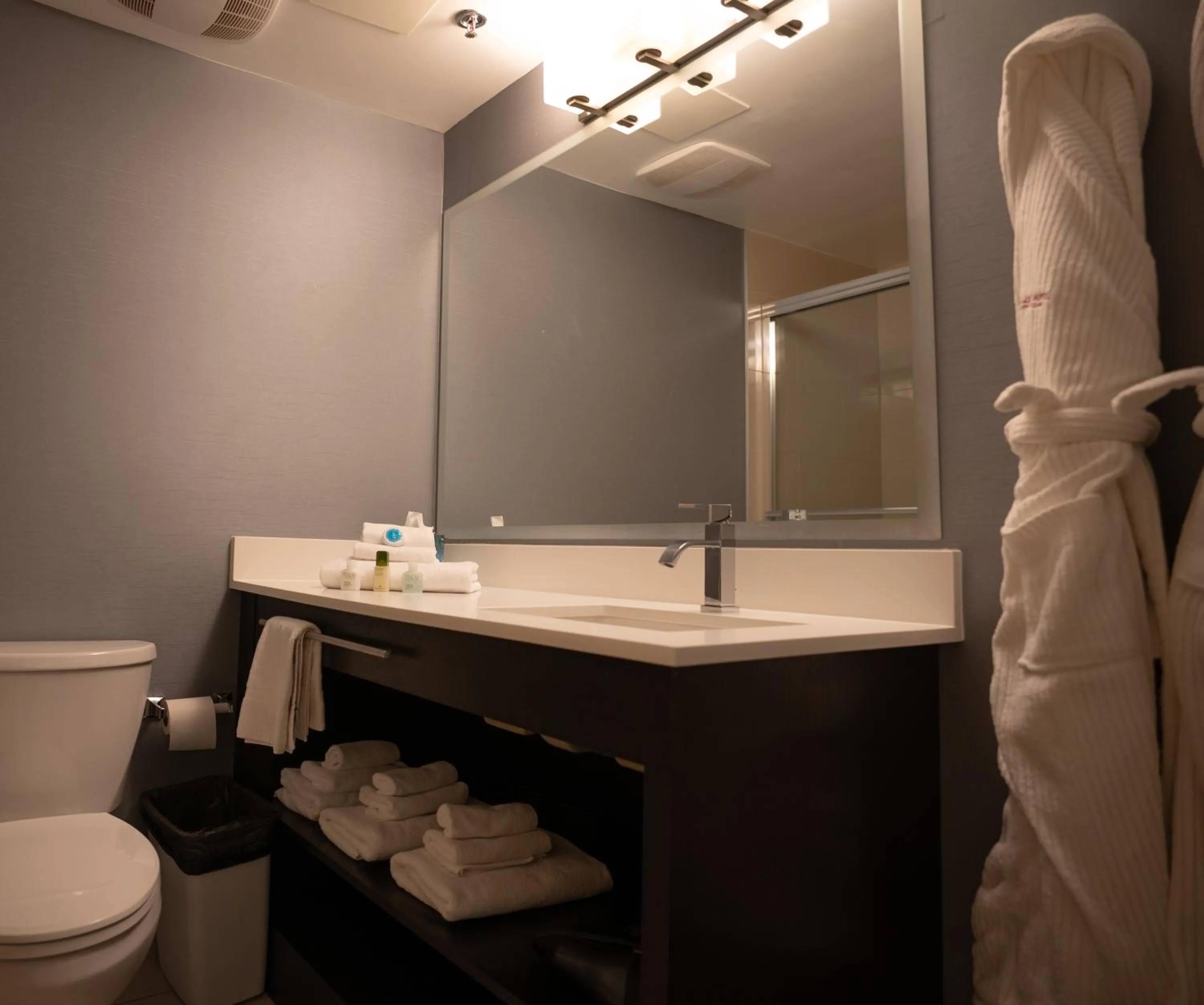 Bathroom in Pinnacle Hotel Whistler