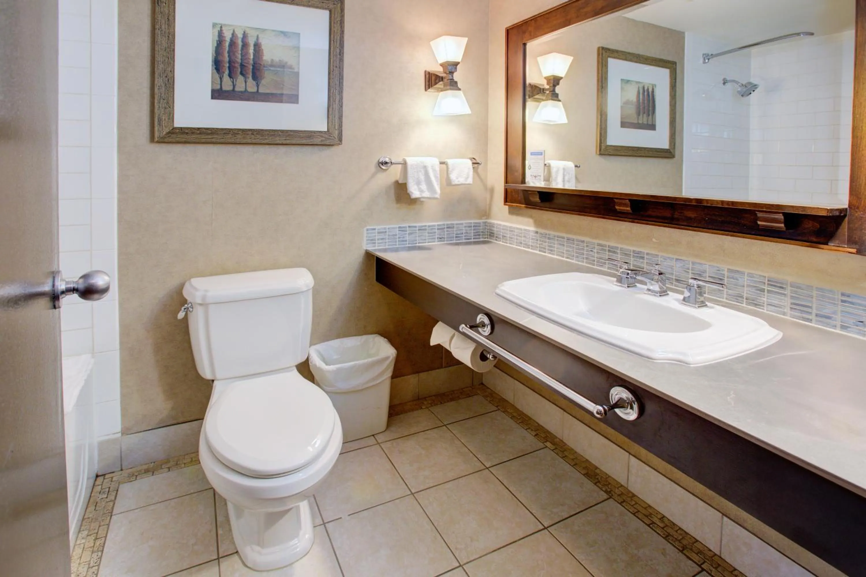 Bathroom in Blackcomb Lodge