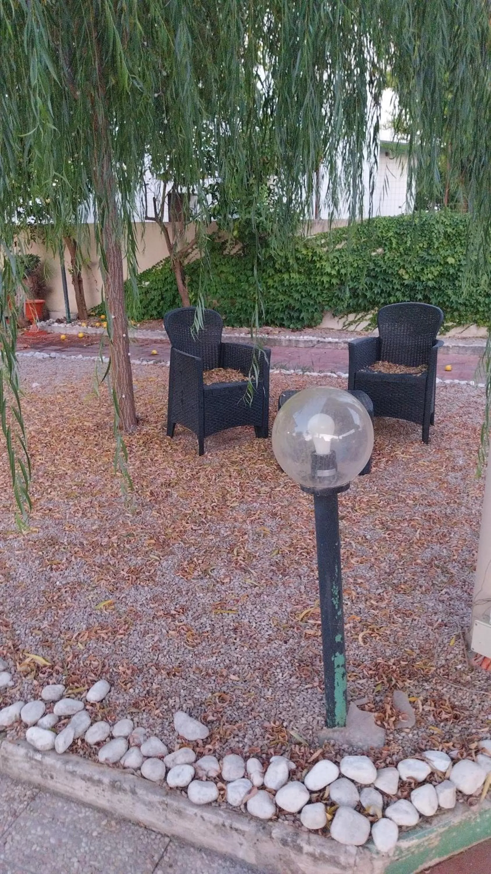 Il giardino del casciar