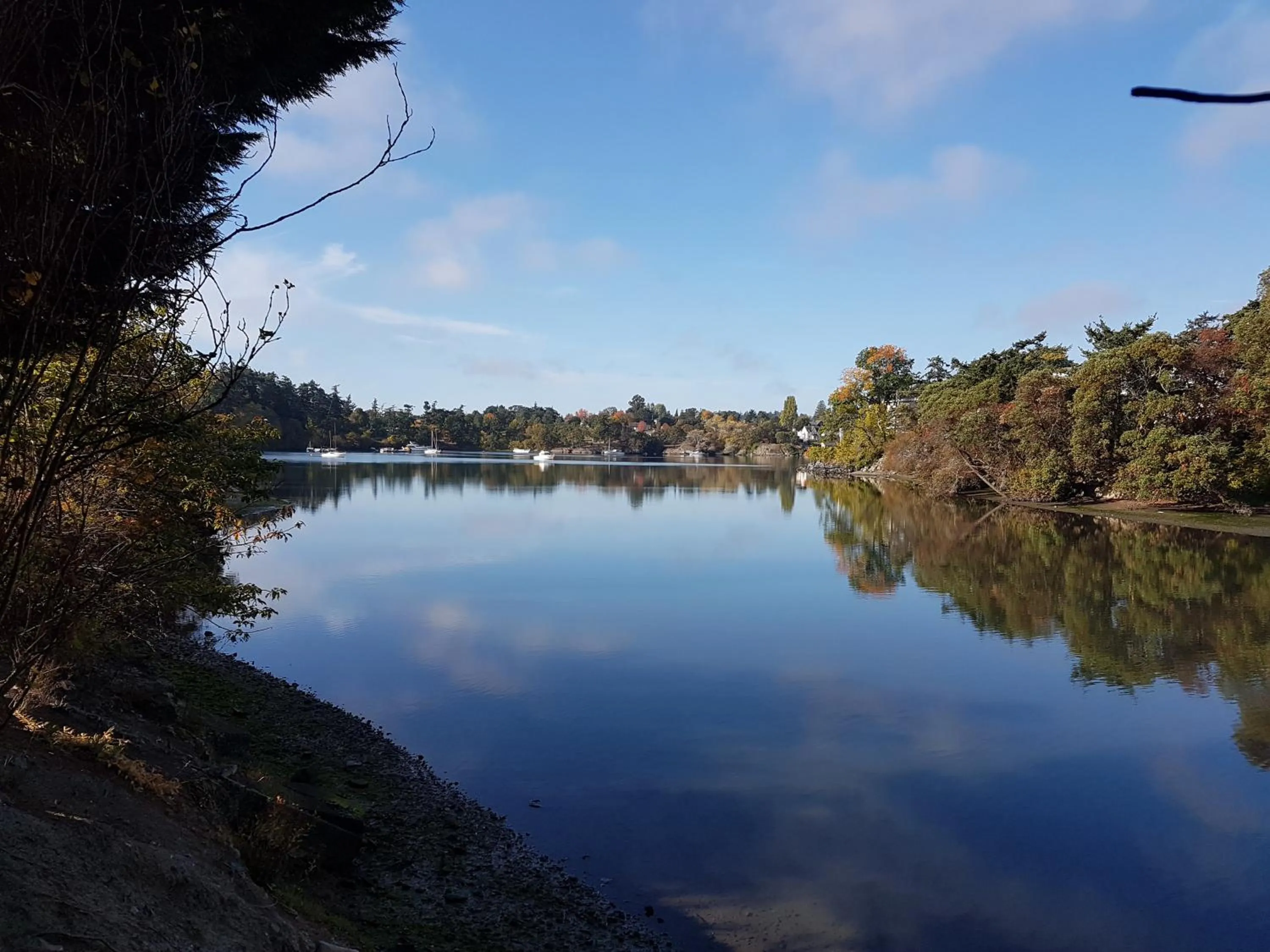 Neighbourhood in Robin Hood Inn and Suites