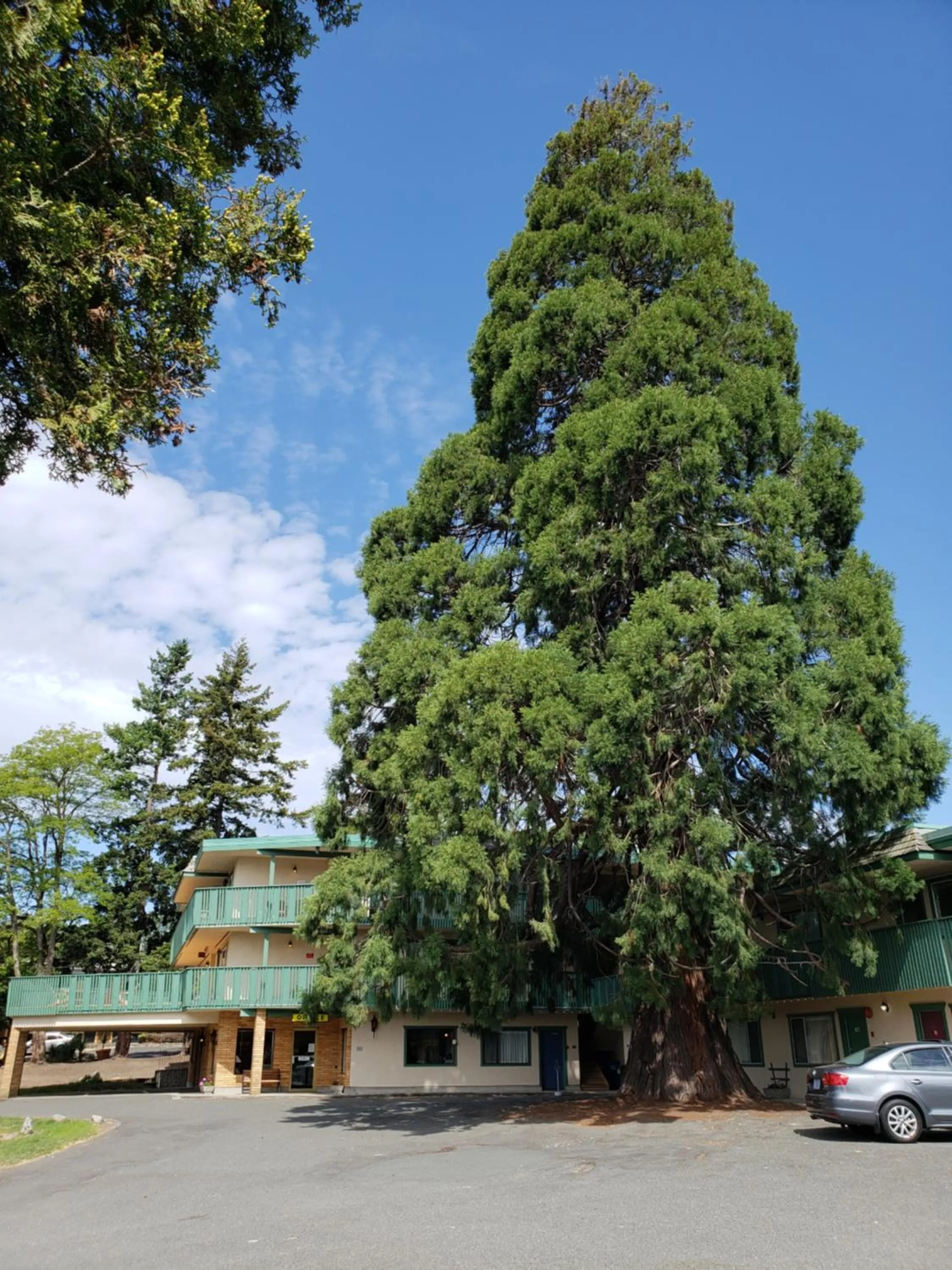 Property building in Robin Hood Inn and Suites