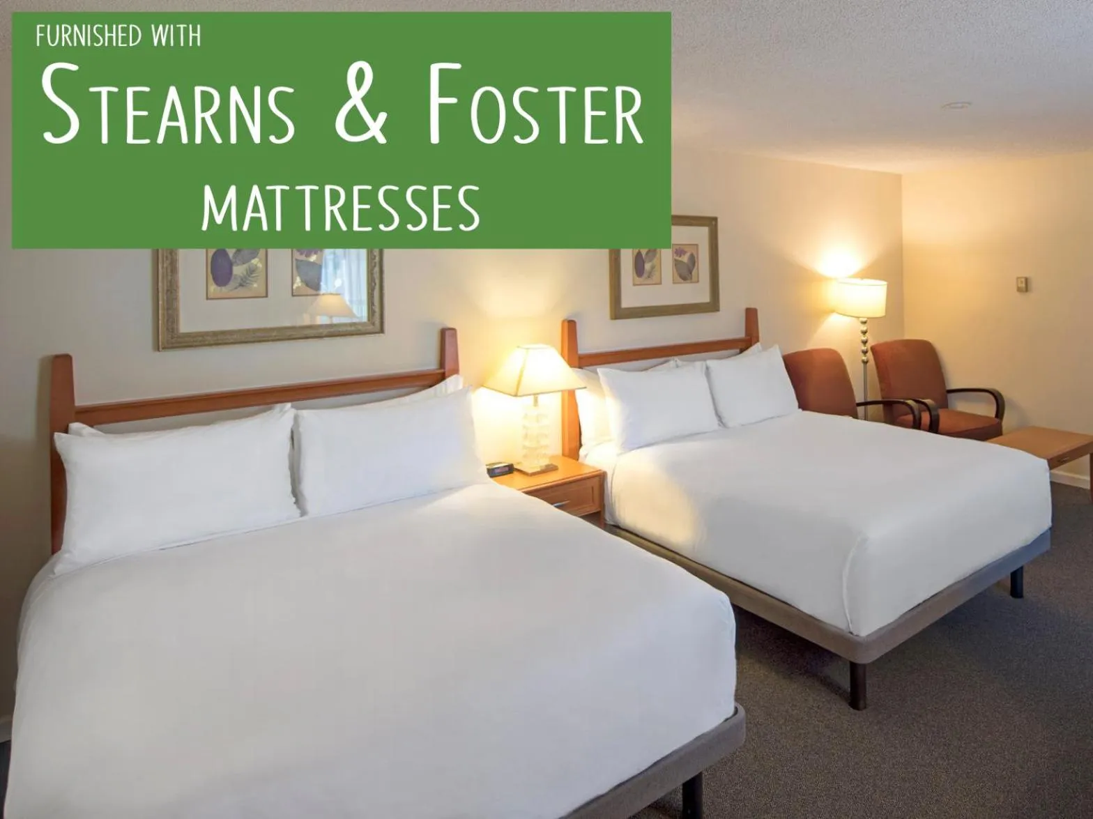 Bed in Robin Hood Inn and Suites