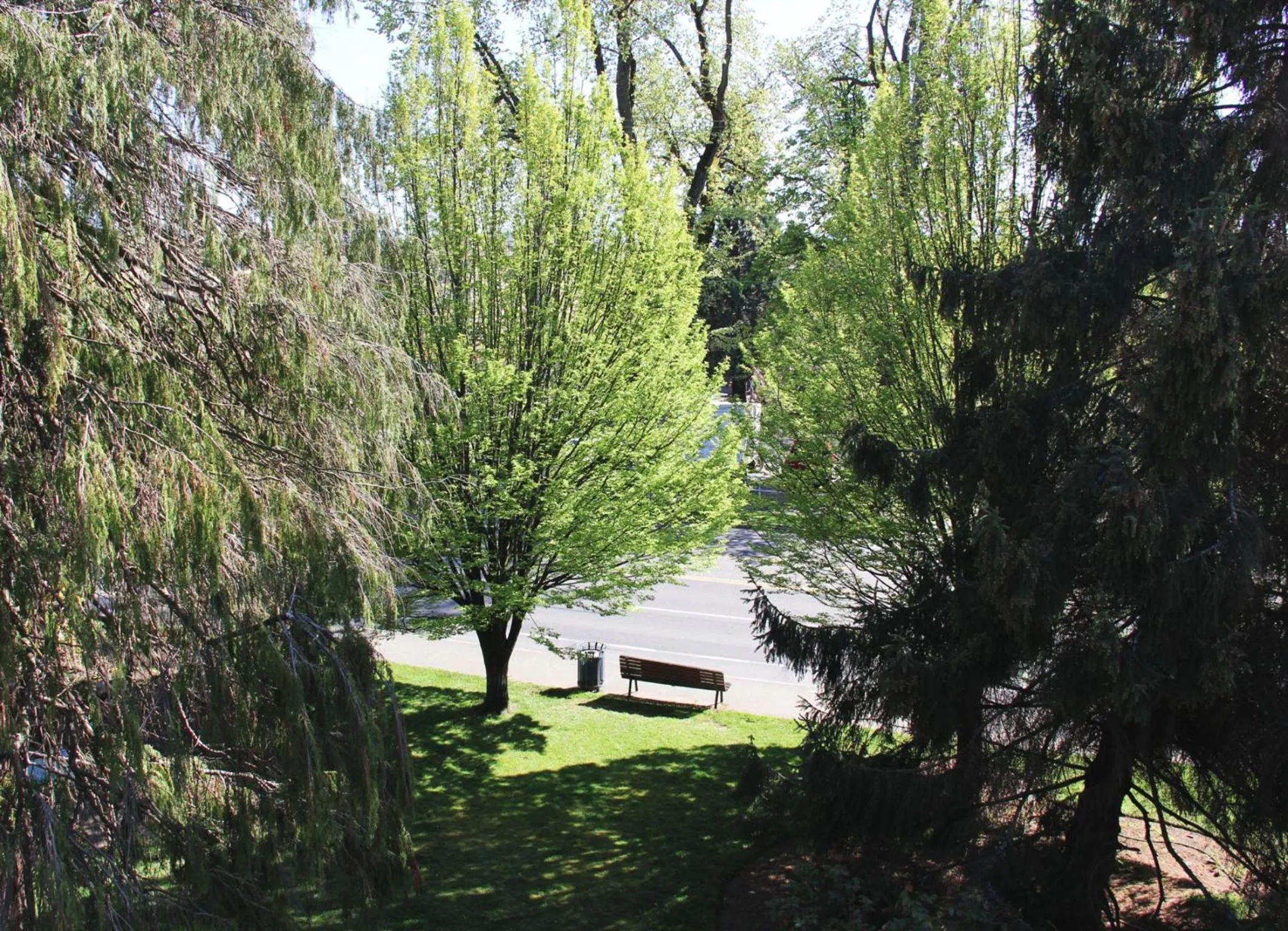 Garden in Robin Hood Inn and Suites