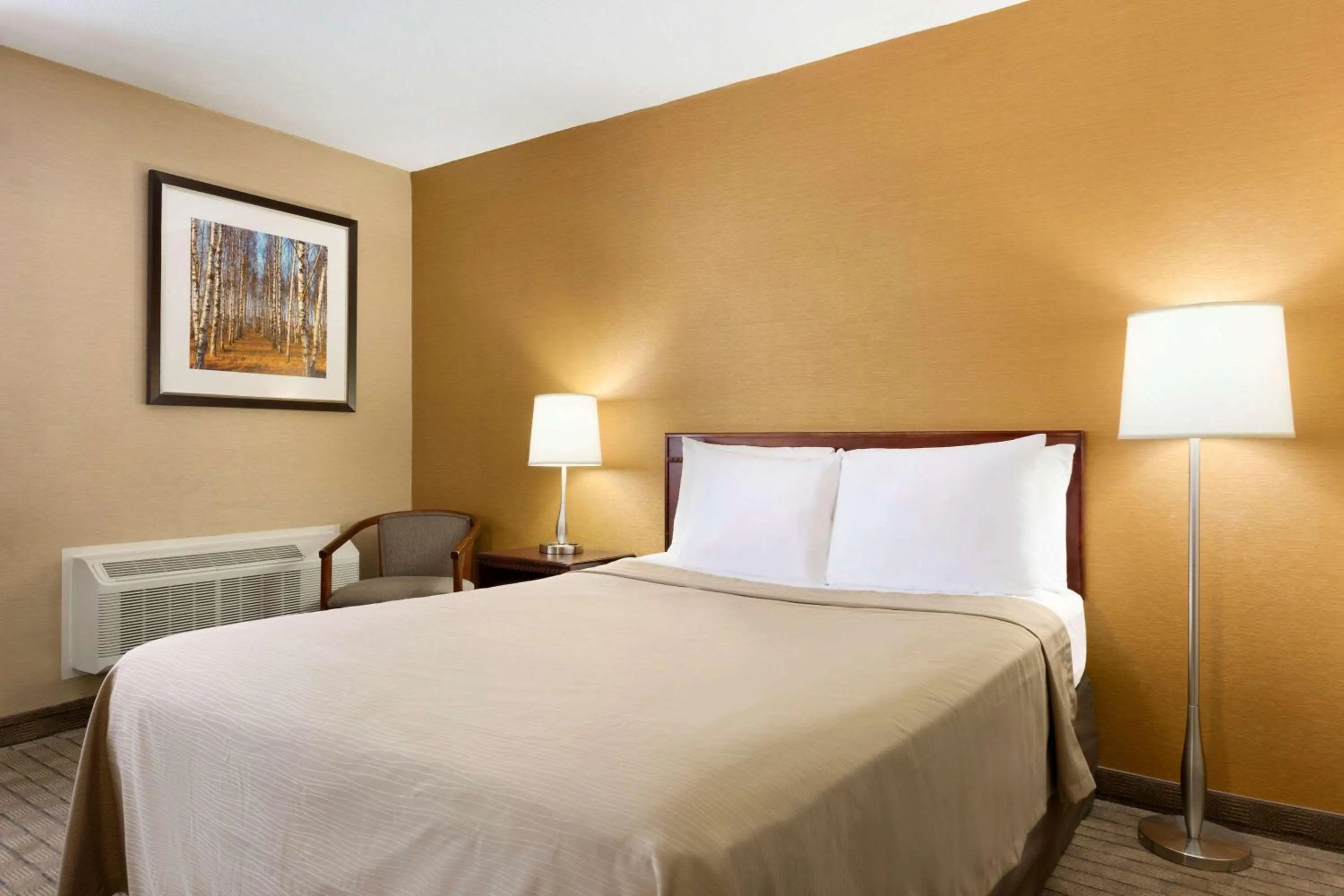 Photo of the whole room in Travelodge by Wyndham Toronto East