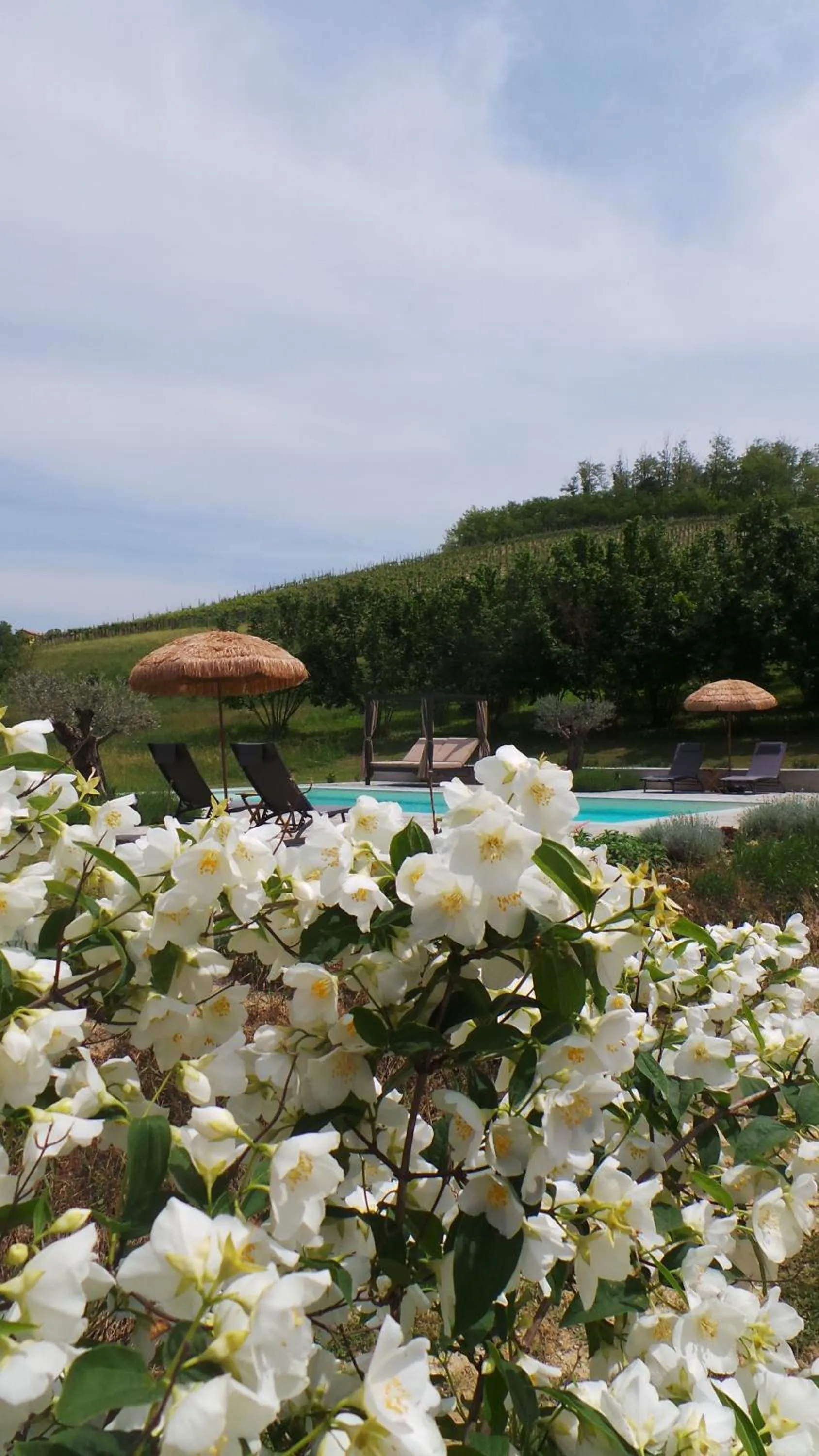 Swimming pool in Sotto La Vigna Charm Stay Adults only vacation Bed and breakfast room