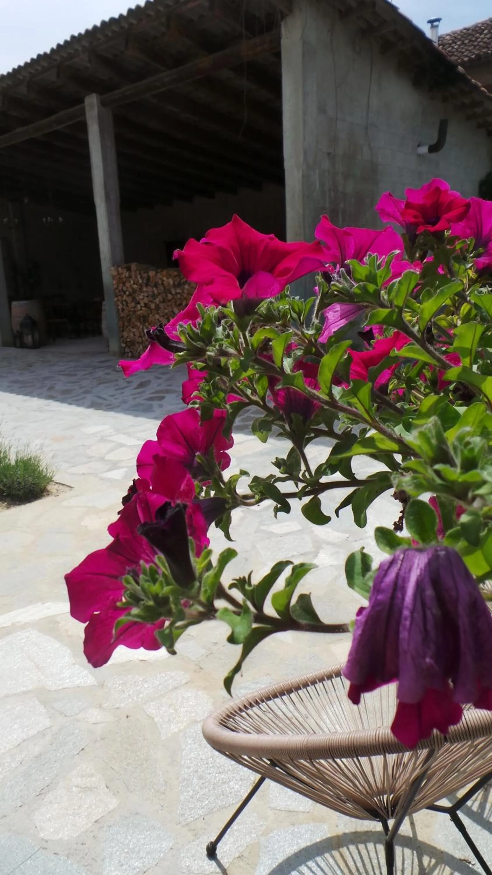 Property building in Sotto La Vigna Charm Stay Adults only vacation Bed and breakfast room