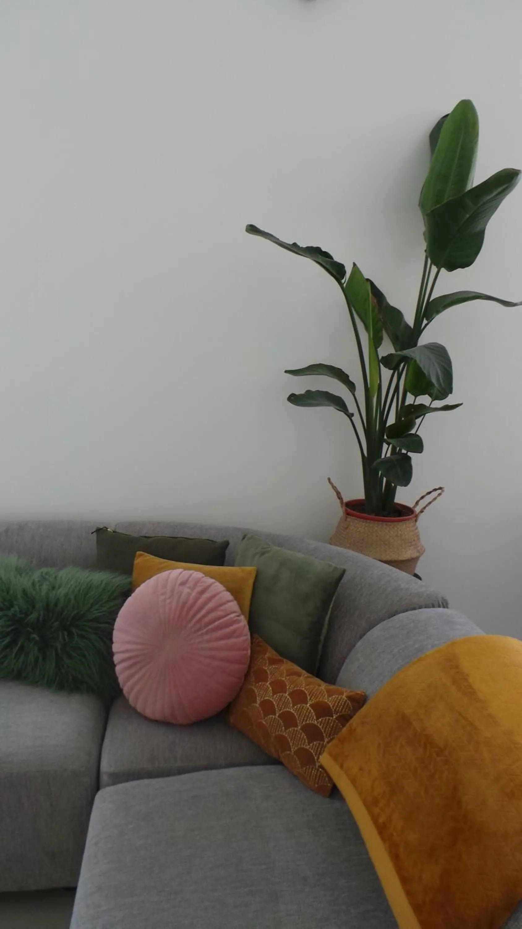 Restaurant/places to eat in Sotto La Vigna Charm Stay Adults only vacation Bed and breakfast room