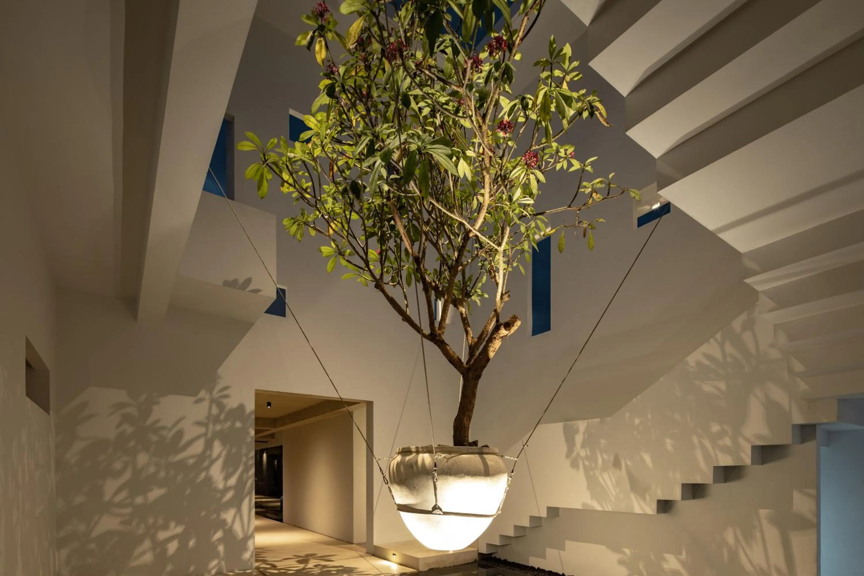 Night in Mandala Oasis