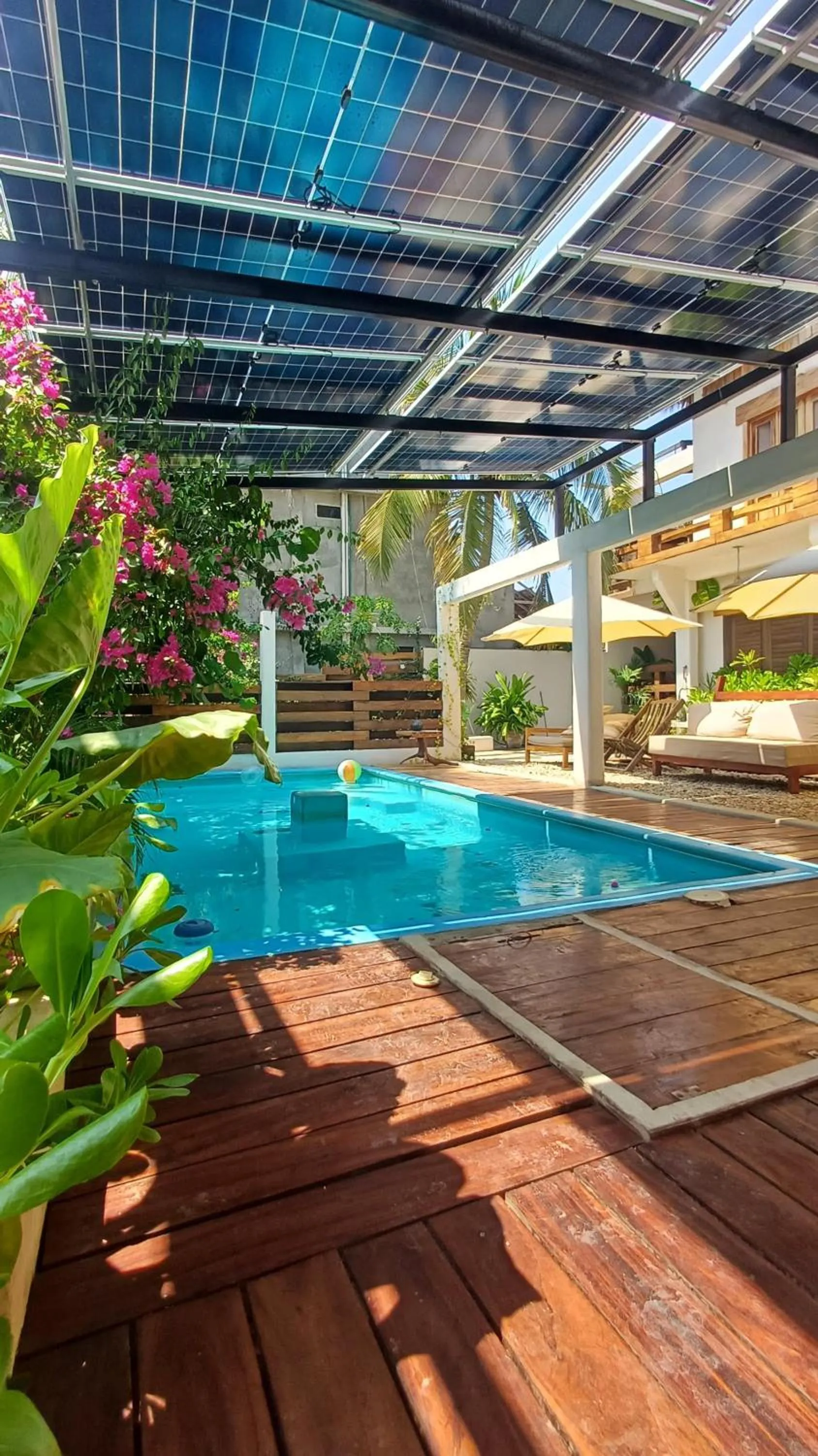 Garden in Casa playa del Amor