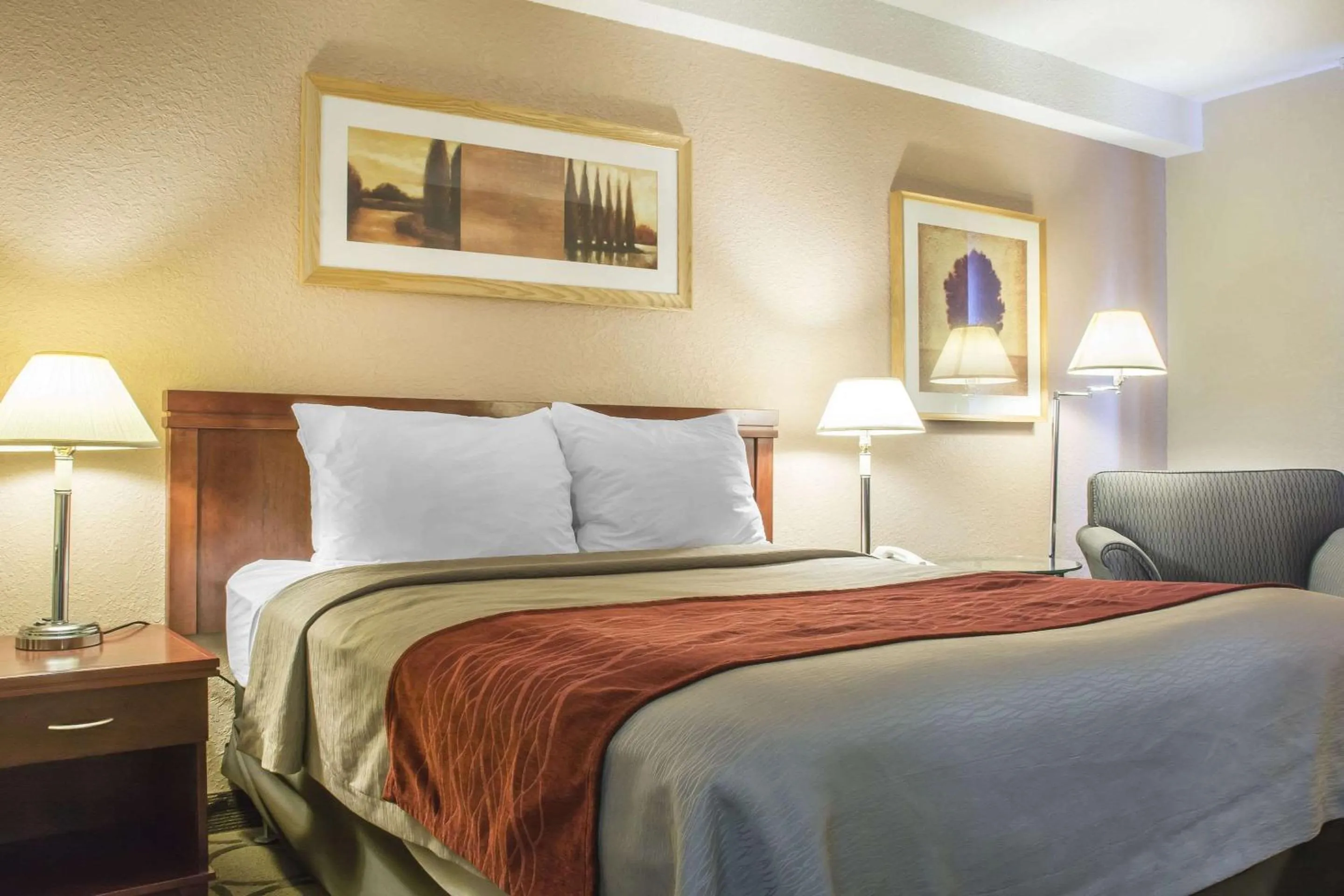 Photo of the whole room in Comfort Inn London - Ontario