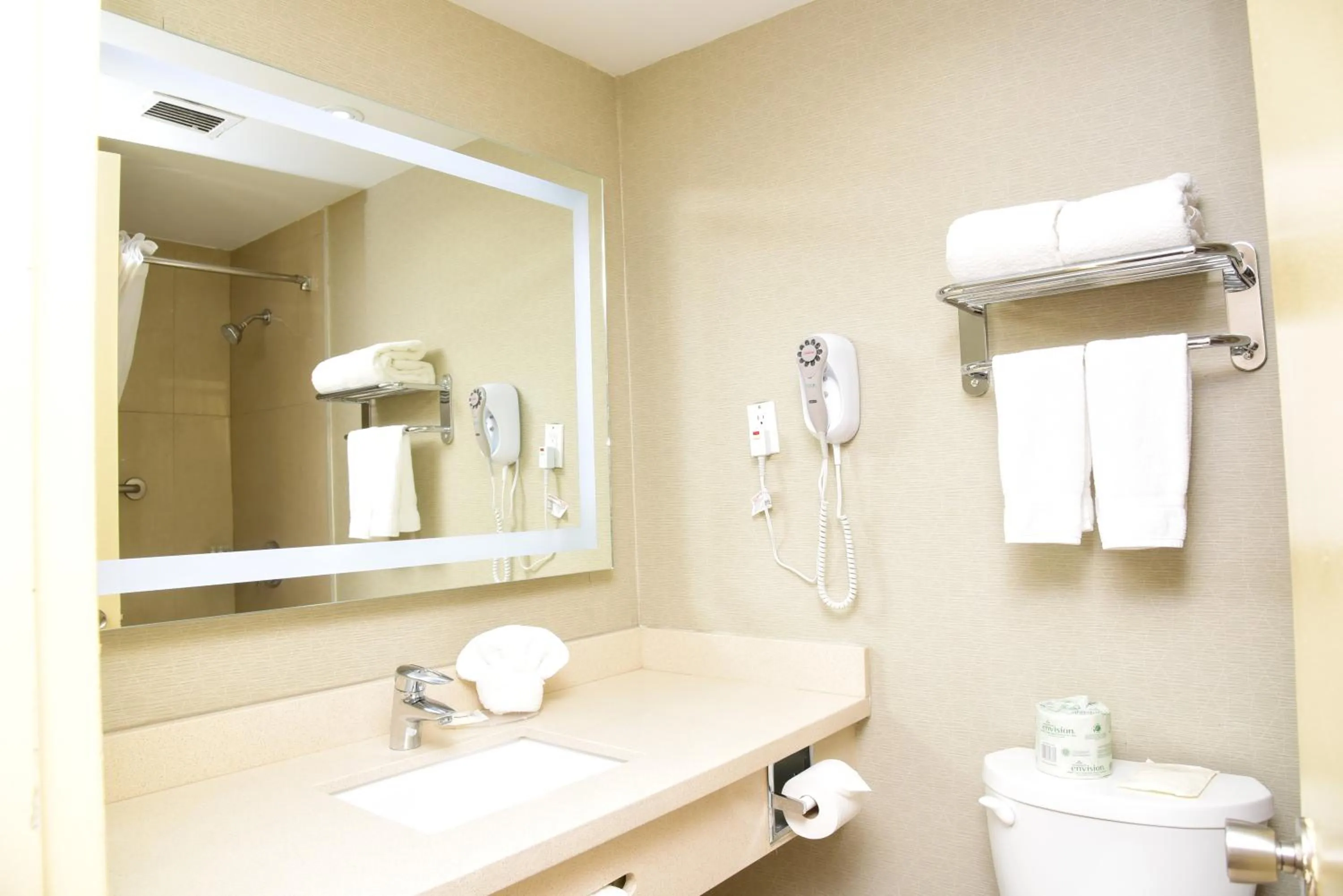 Bathroom in Days Inn by Wyndham Ottawa
