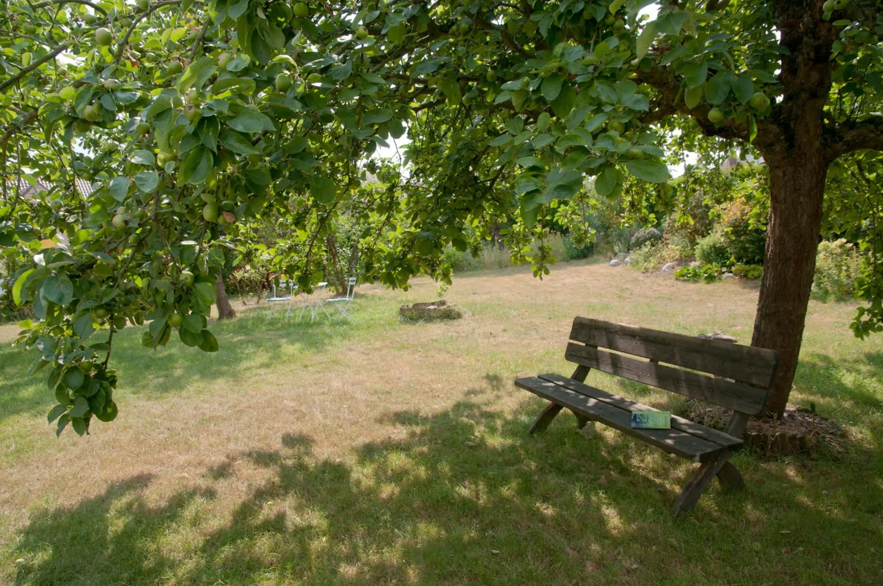 Garden in Wellintown Guest House
