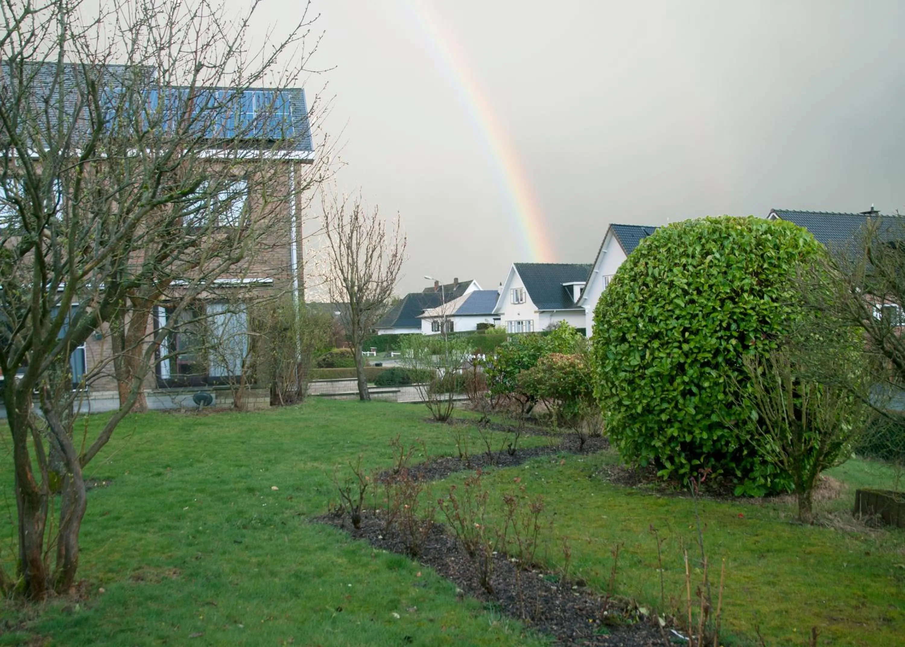 Garden in Wellintown Guest House