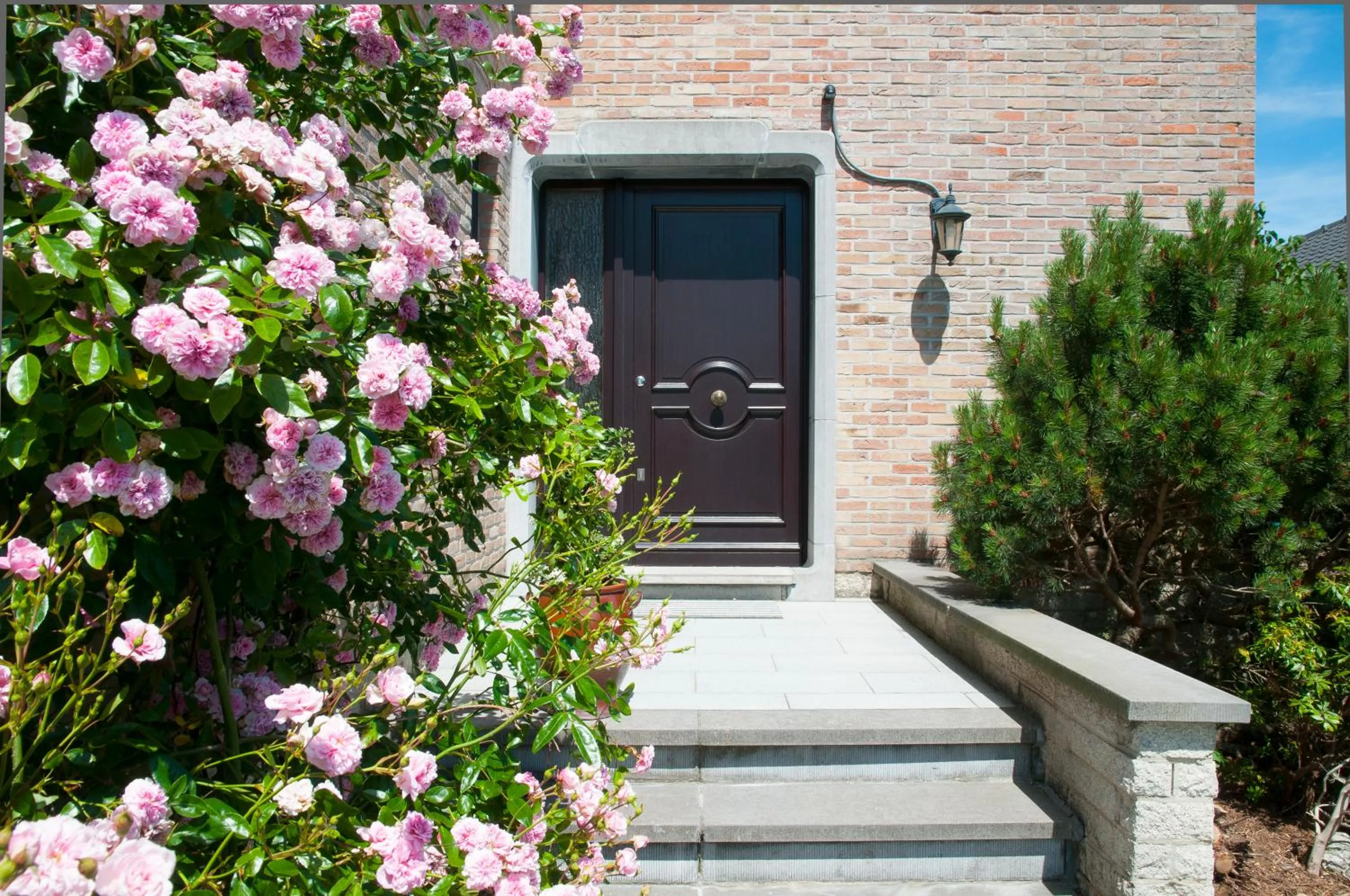 Property building in Wellintown Guest House