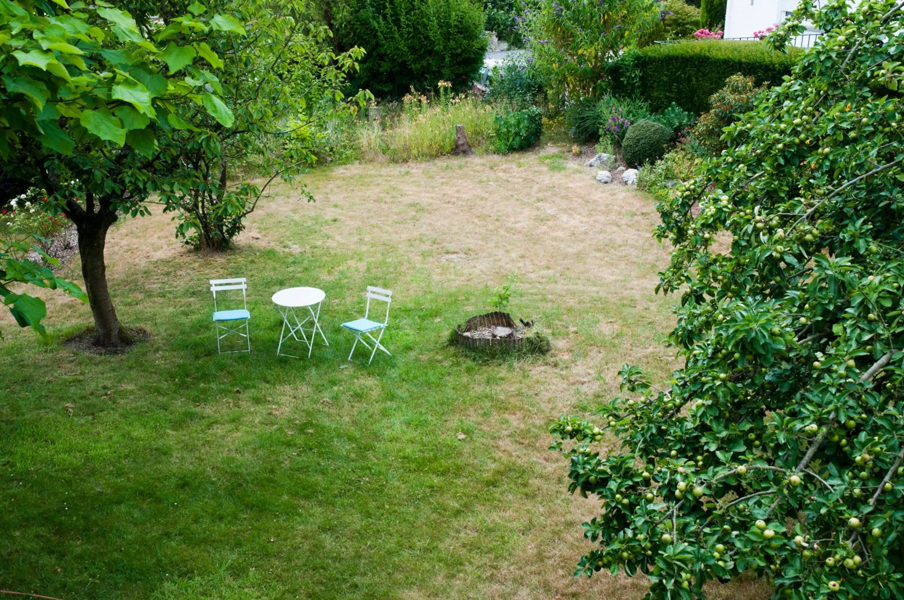 Garden in Wellintown Guest House