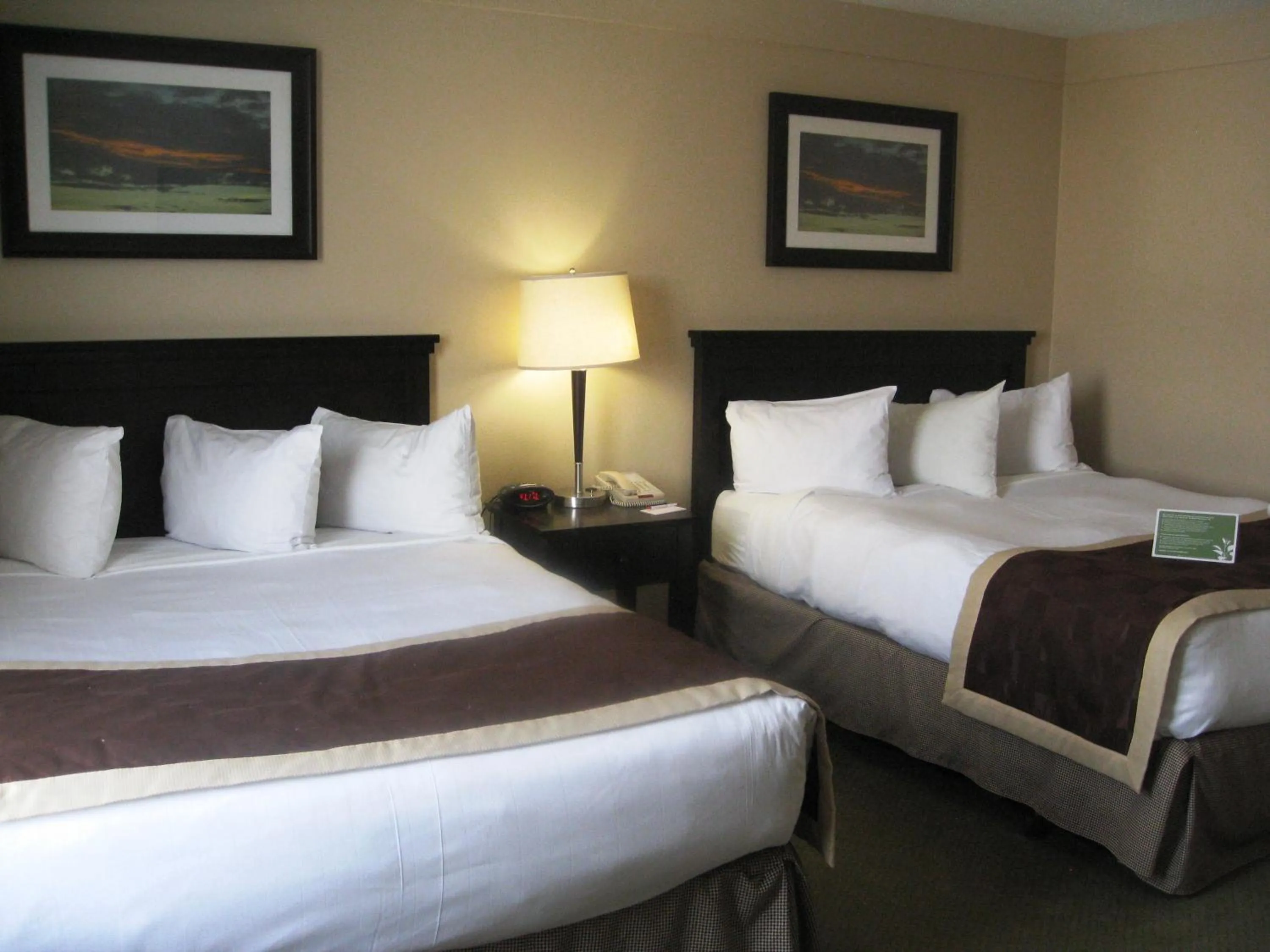 Bed in Baymont by Wyndham Red Deer