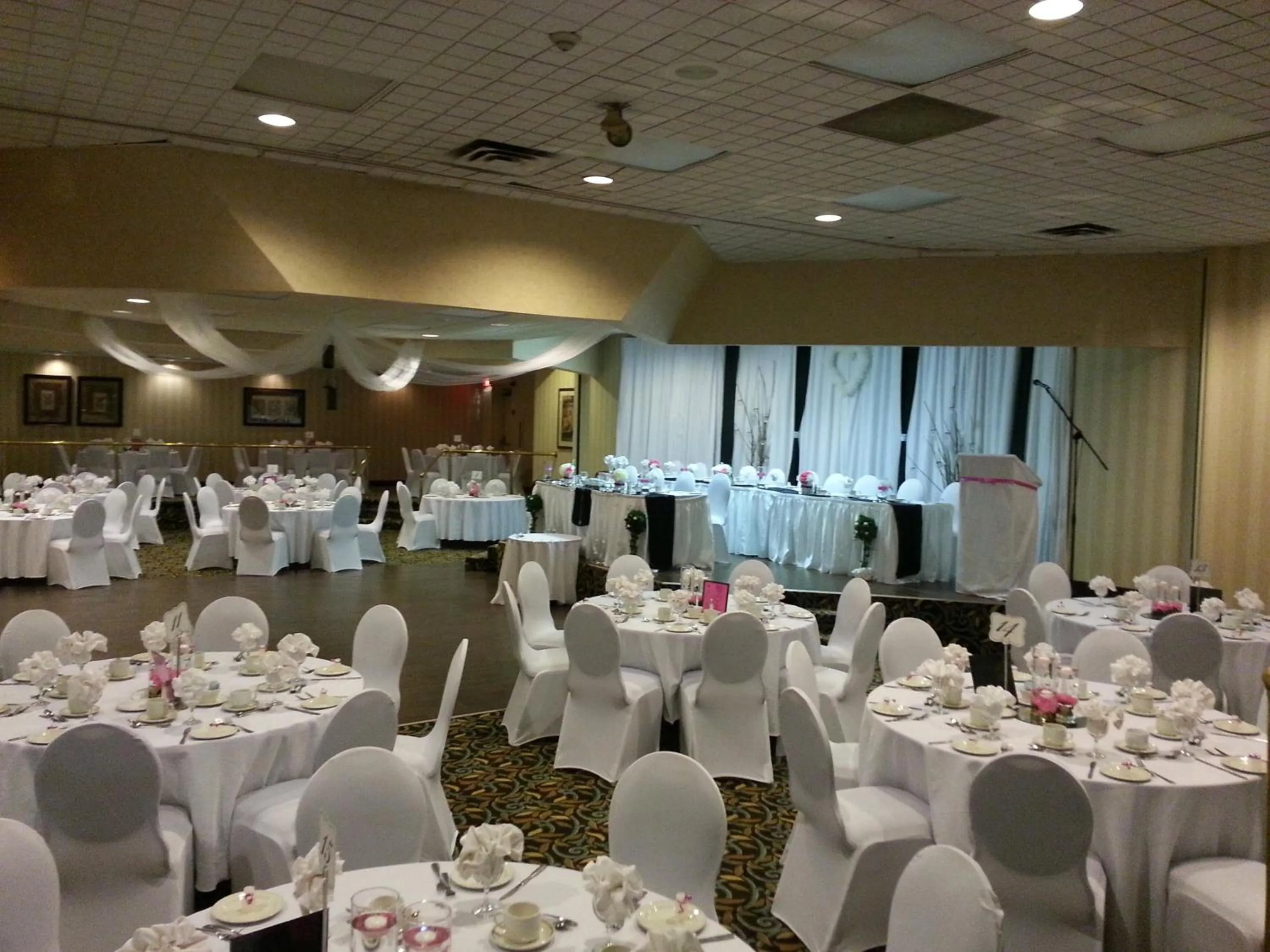 Banquet/Function facilities in Ramada by Wyndham London