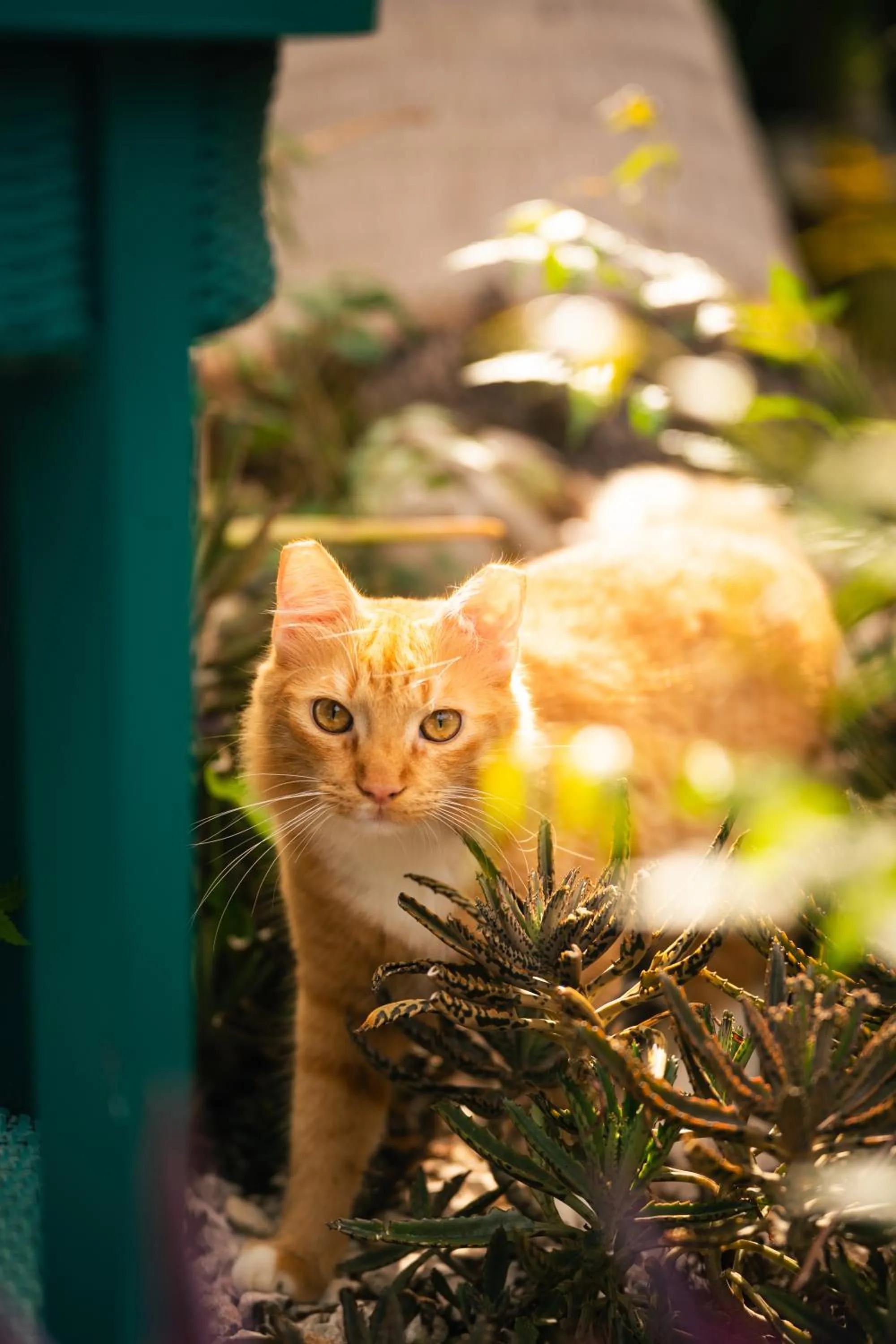 Property building in Thuishaven - boutique mini-resort