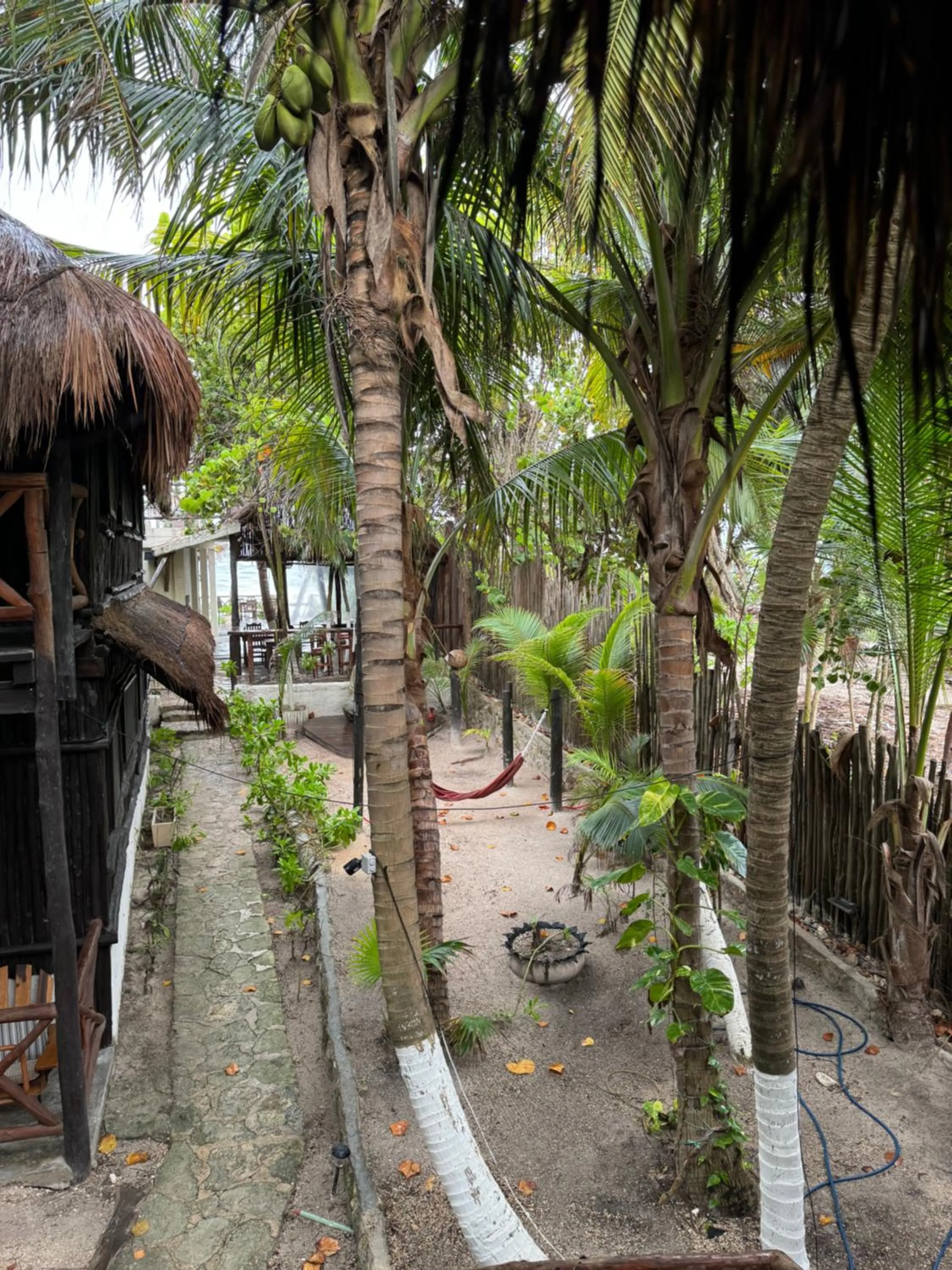 Garden view in Sivana Tulum