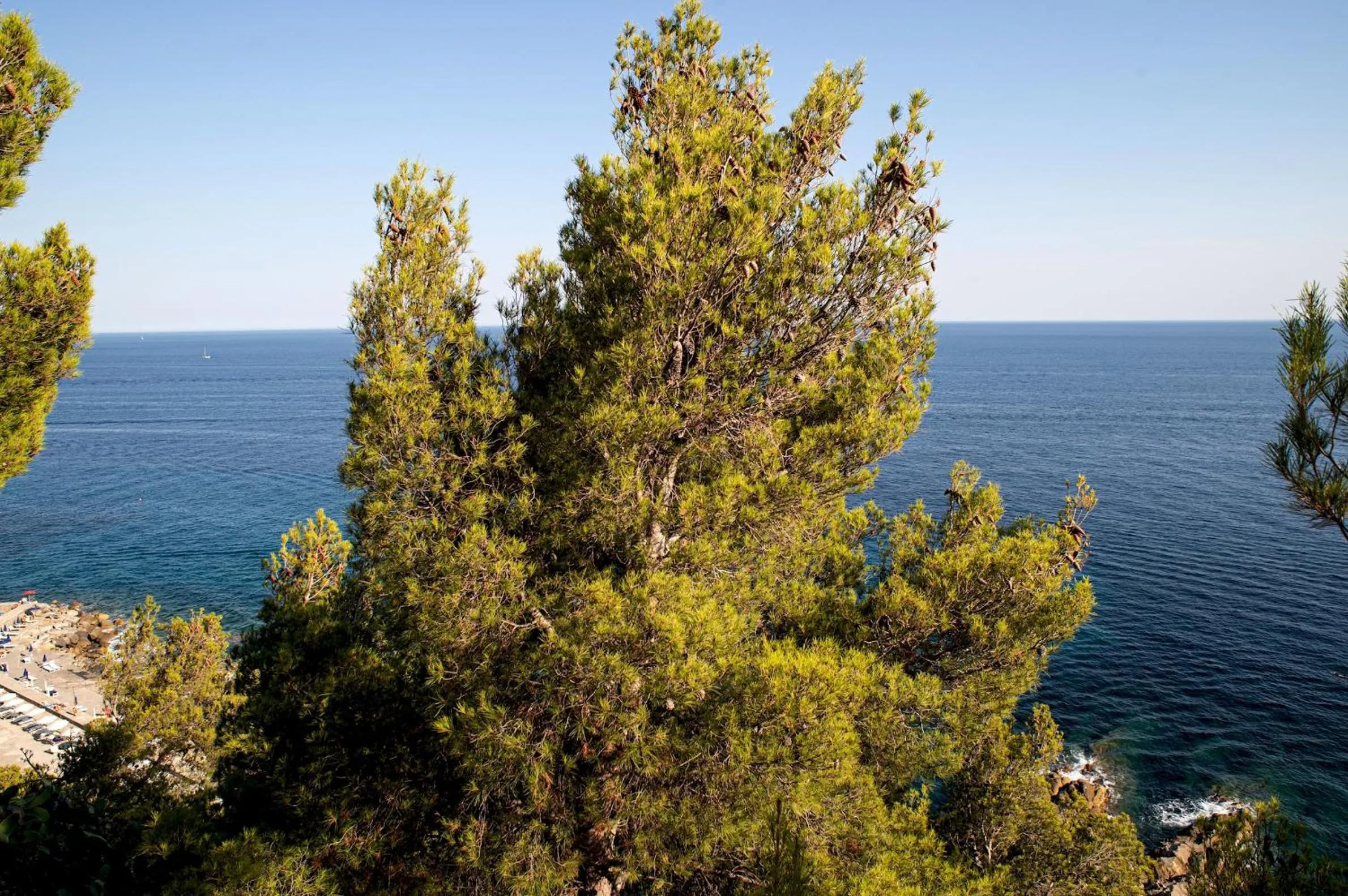 Other in Marconi 442