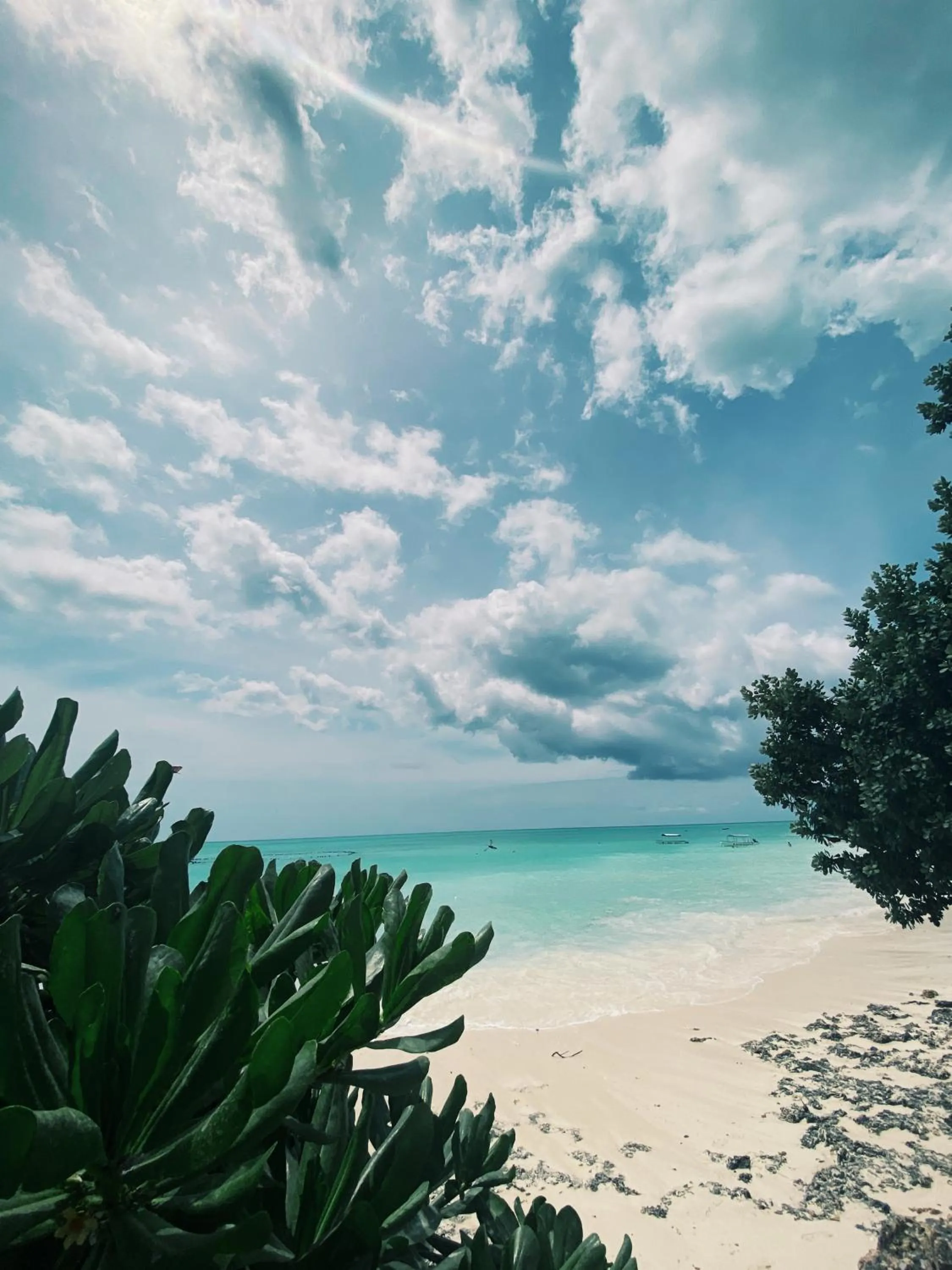 Natural landscape in Crystal Beach Nungwi