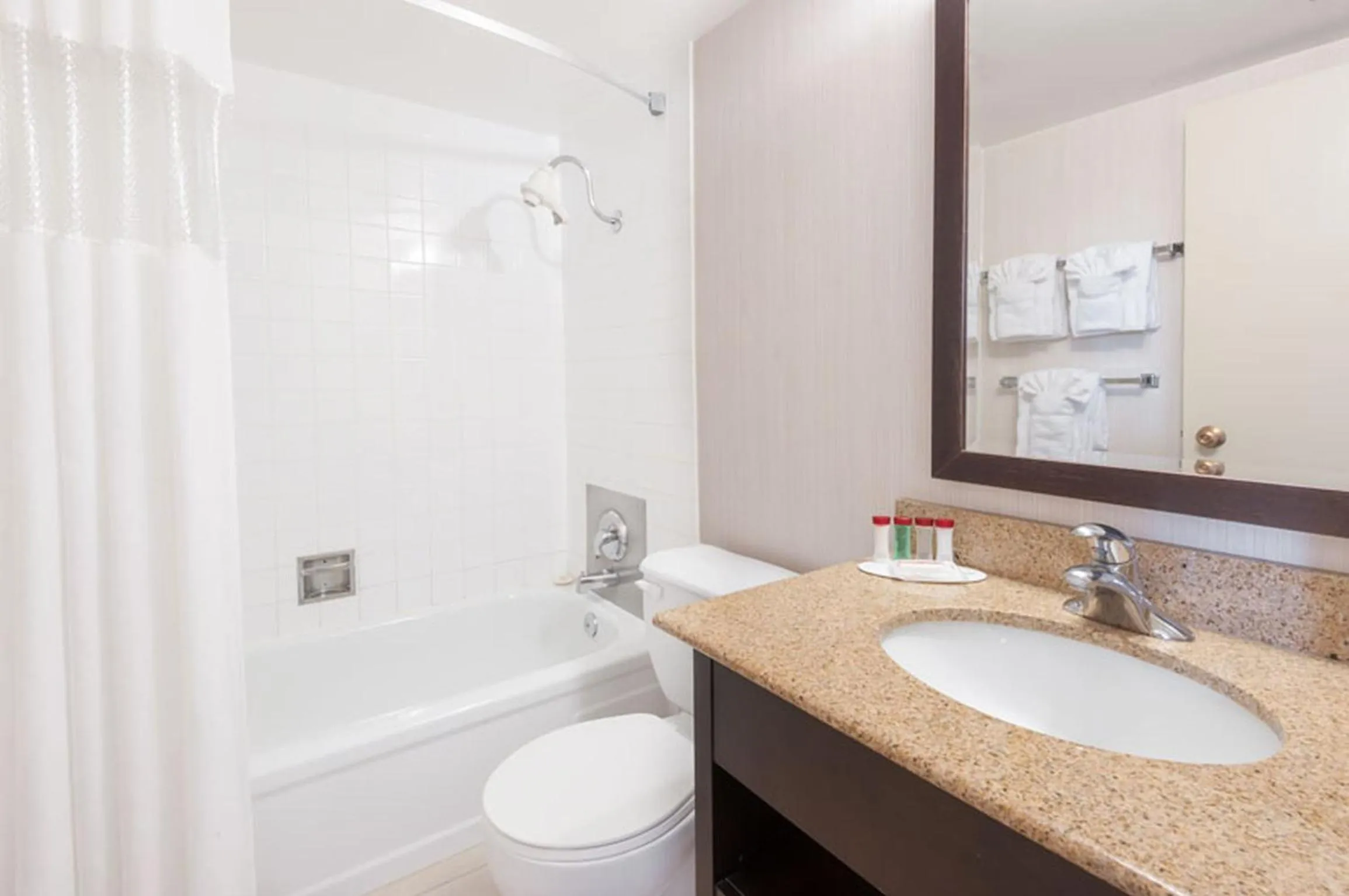 Bathroom in Edmonton Inn and Conference Centre