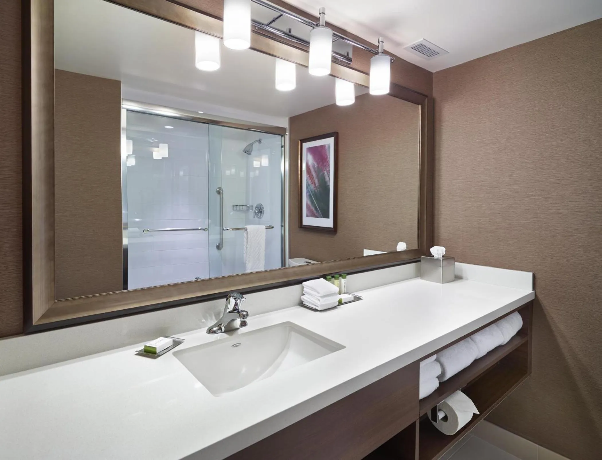Bathroom in DoubleTree by Hilton West Edmonton