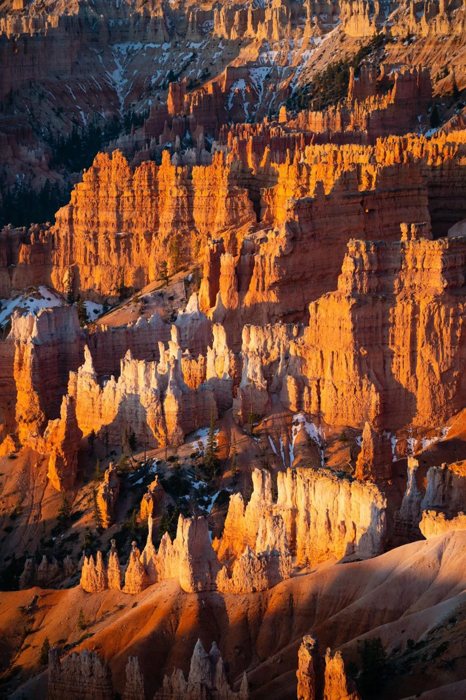 Natural landscape in Under Canvas Bryce Canyon