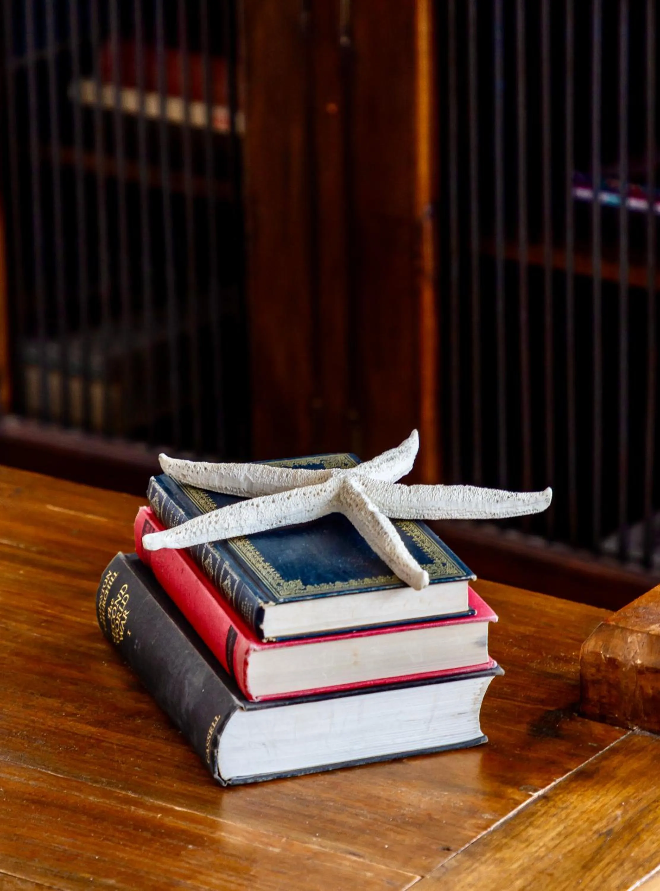 Library in Royal Boutique Hotel