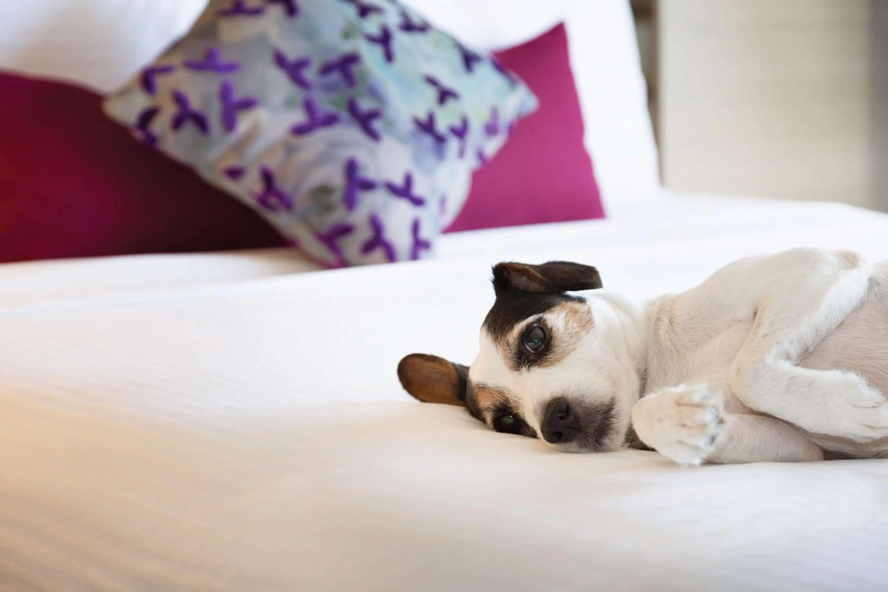 Other in Coast Edmonton Plaza Hotel by APA