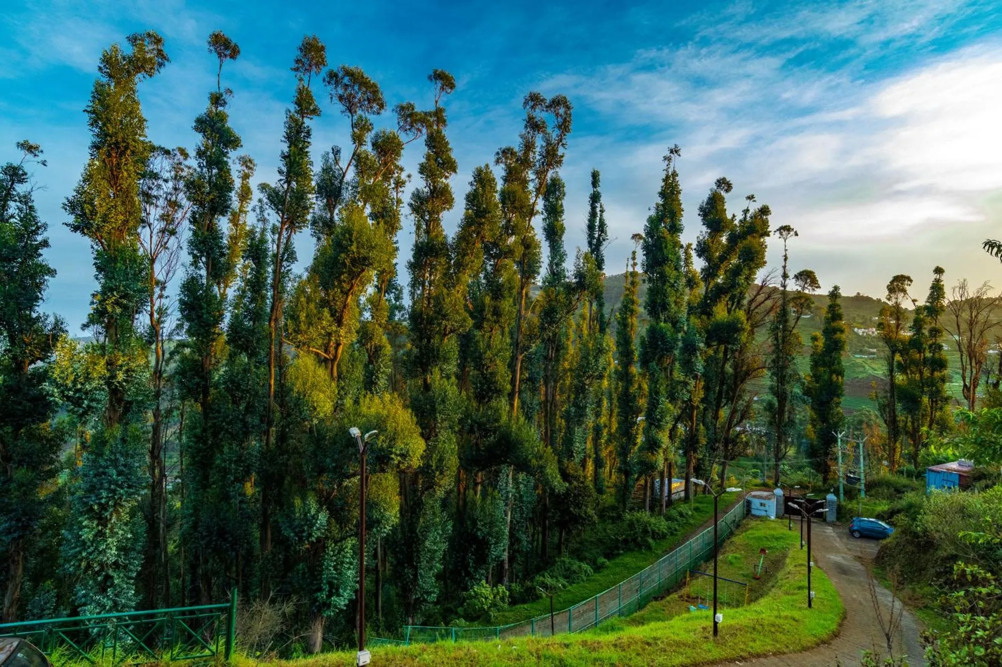 Natural landscape in Warmth Hill Crest