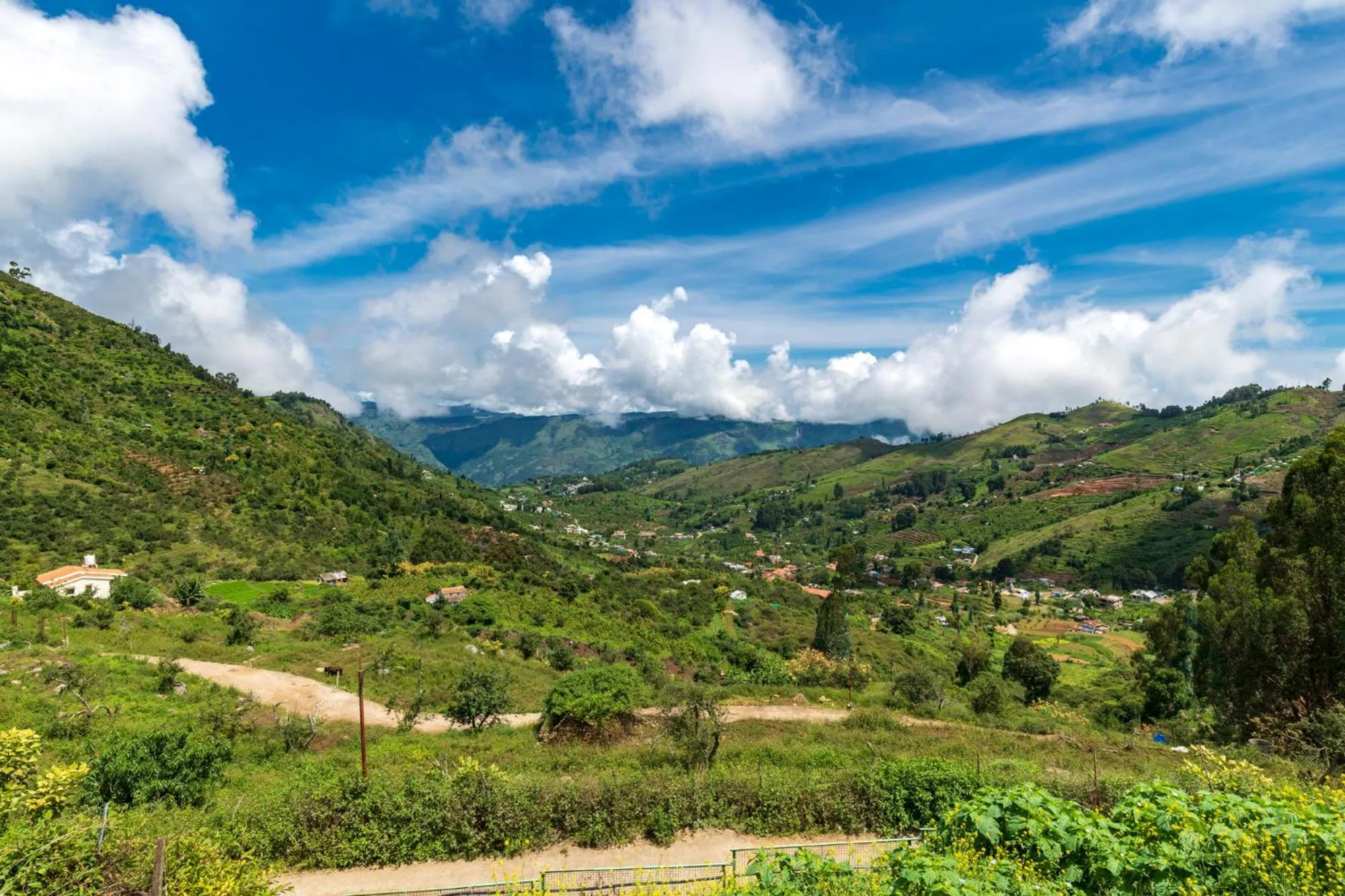 Natural landscape in Warmth Hill Crest