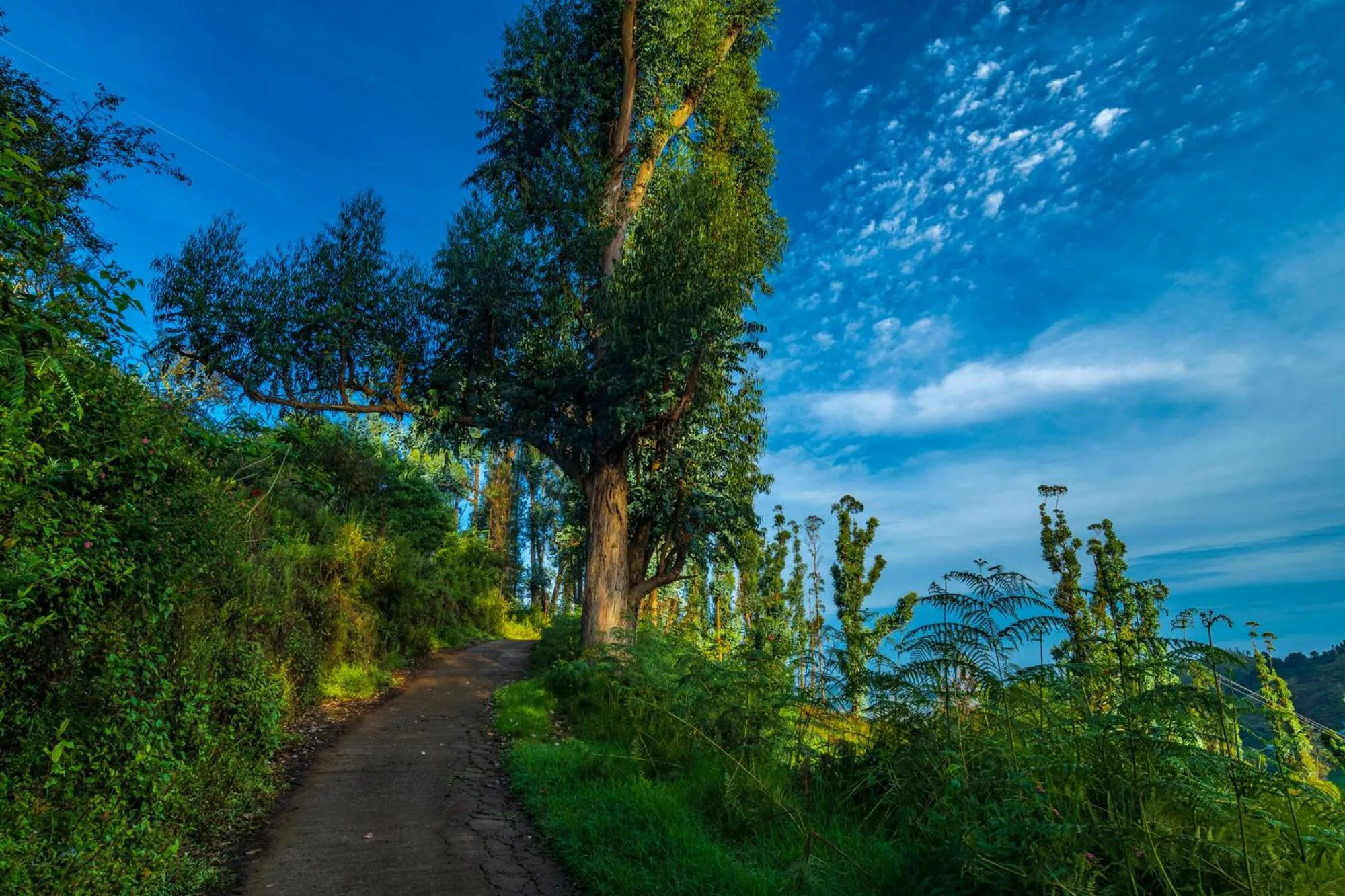 Natural landscape in Warmth Hill Crest