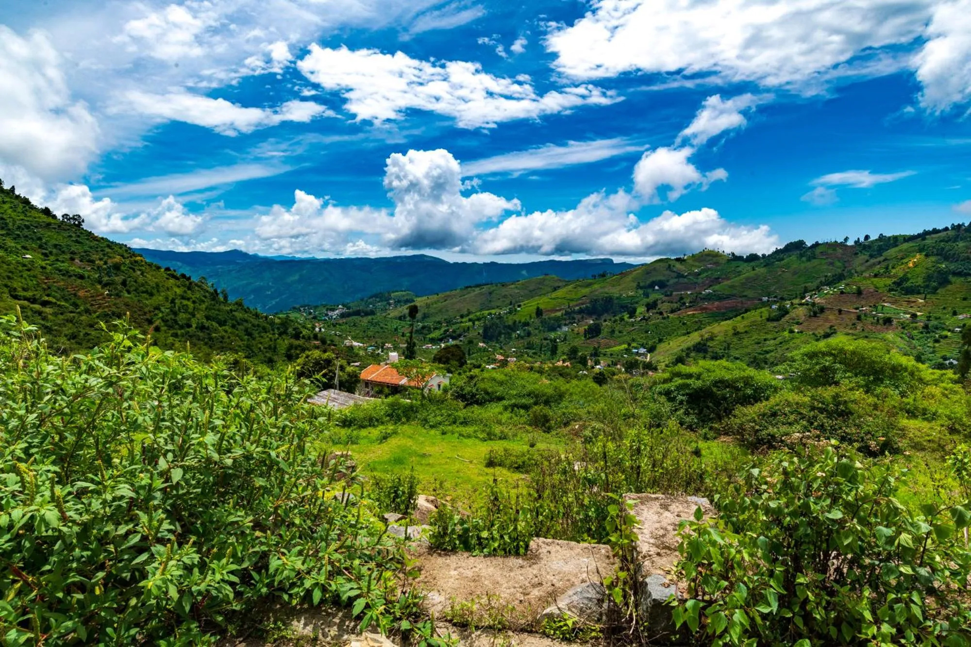 Natural landscape in Warmth Hill Crest