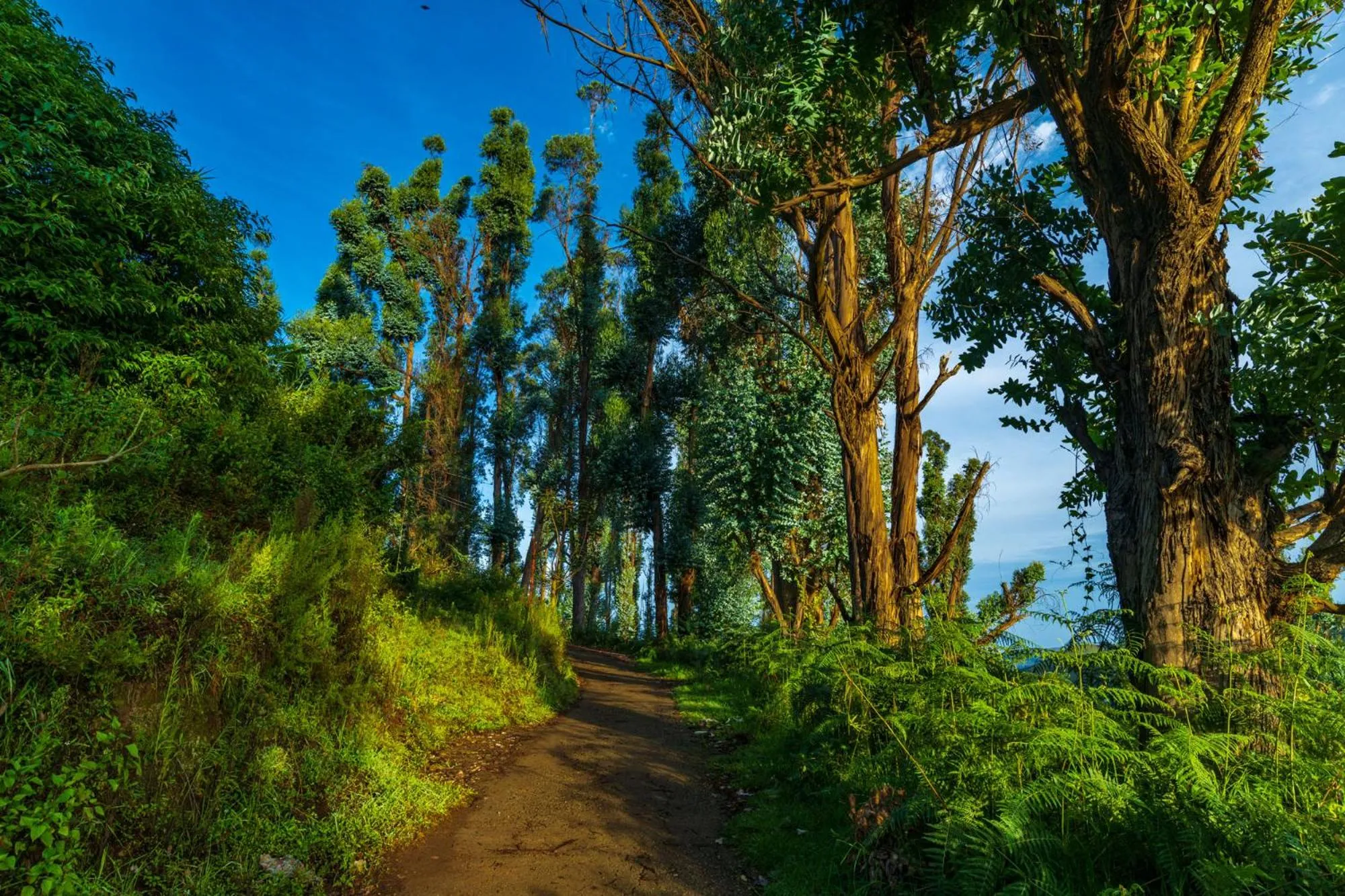 Natural landscape in Warmth Hill Crest