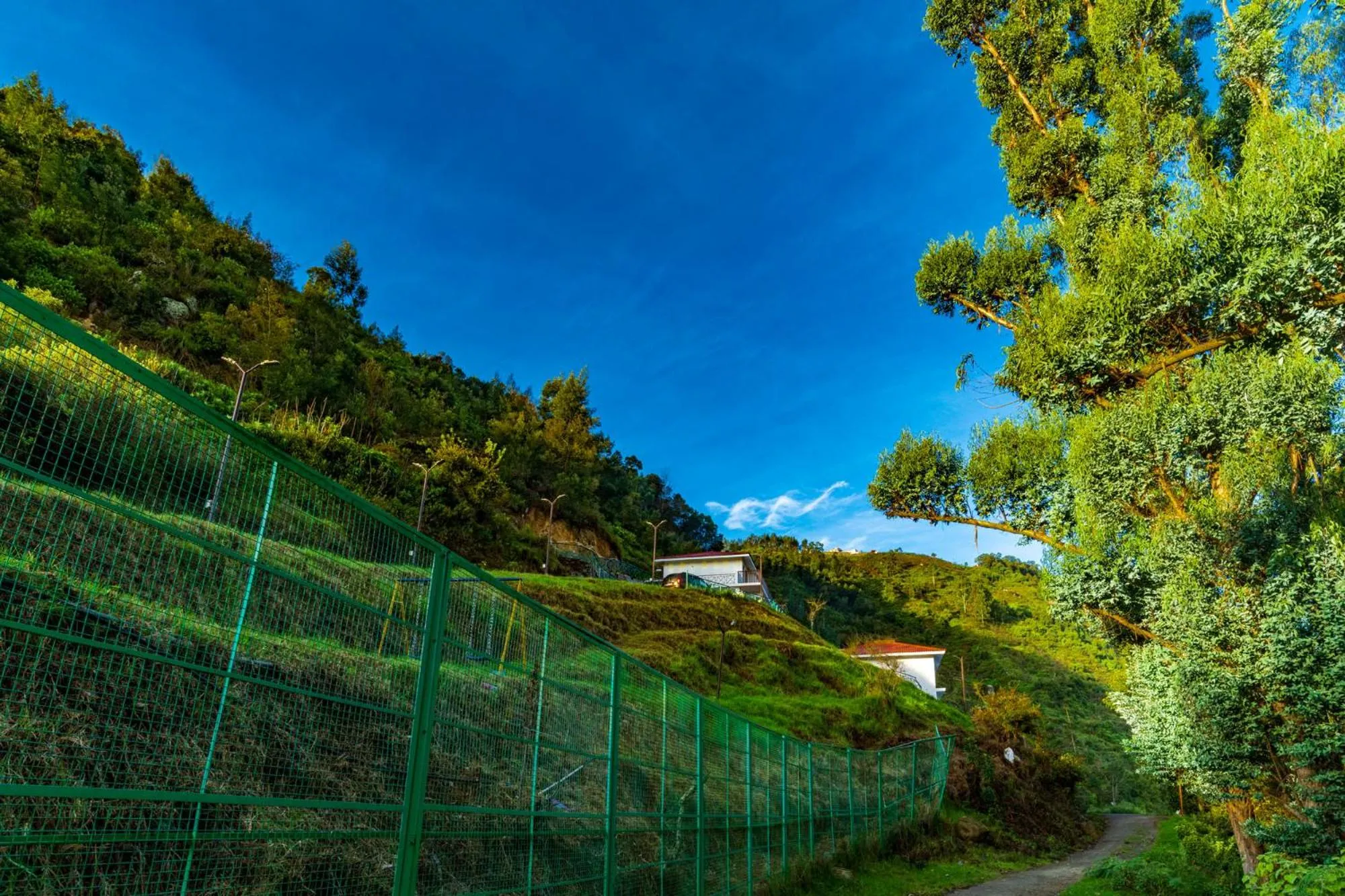 Natural landscape in Warmth Hill Crest