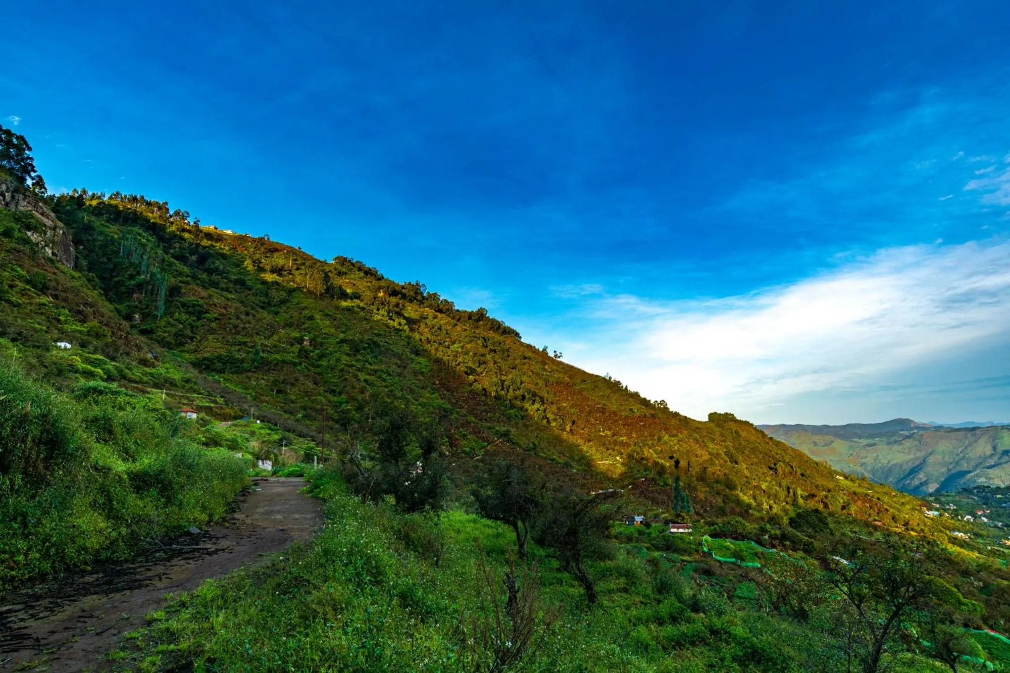 Natural landscape in Warmth Hill Crest